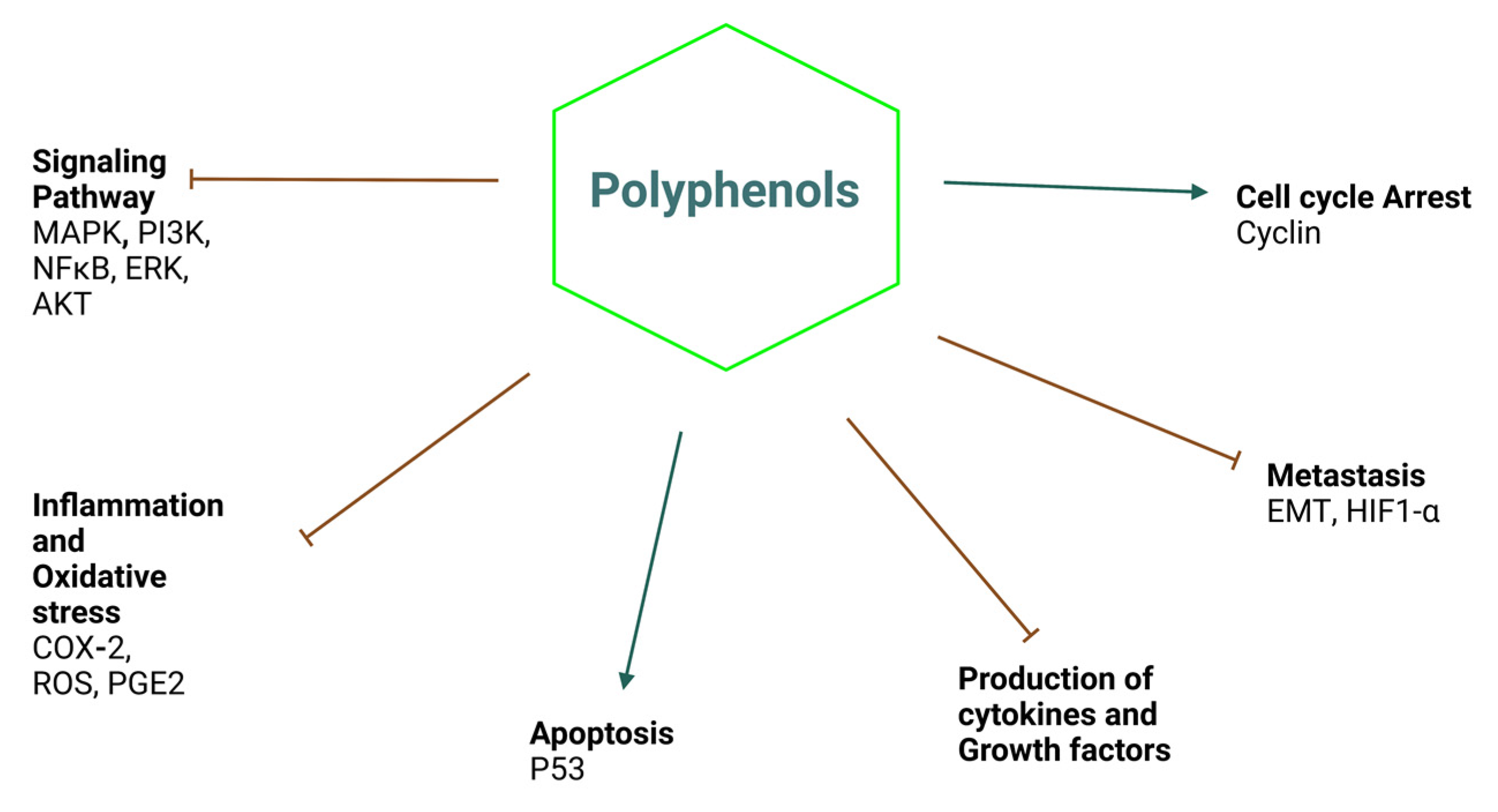 Life 13 00361 g004 Life 13 00361 g004