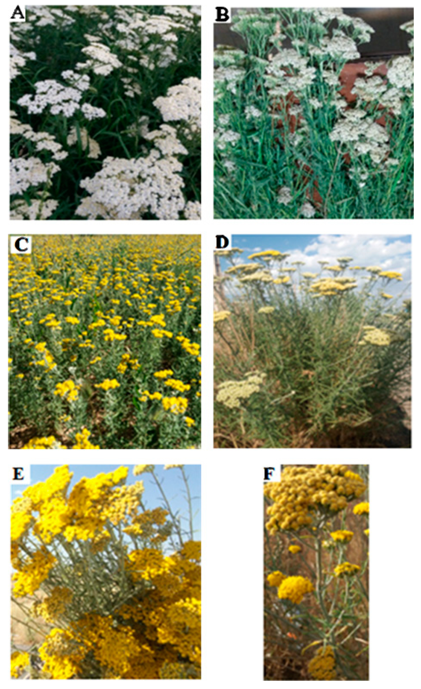 Life 13 00378 g001 Life 13 00378 g001