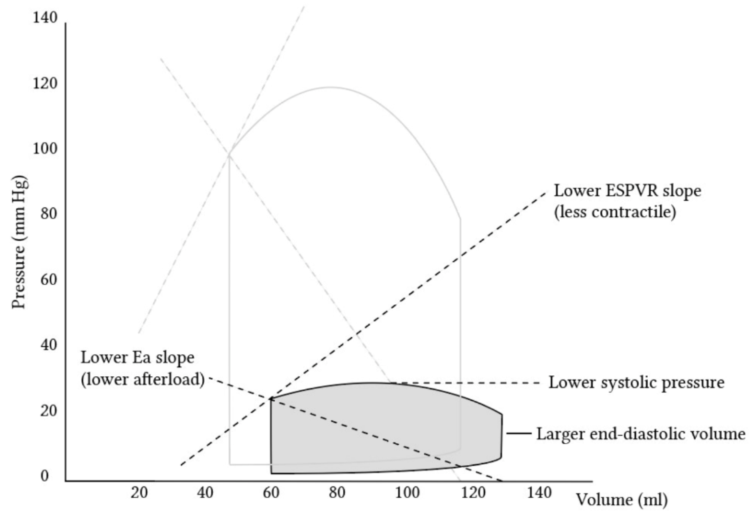 Life 13 00379 g002 Life 13 00379 g002