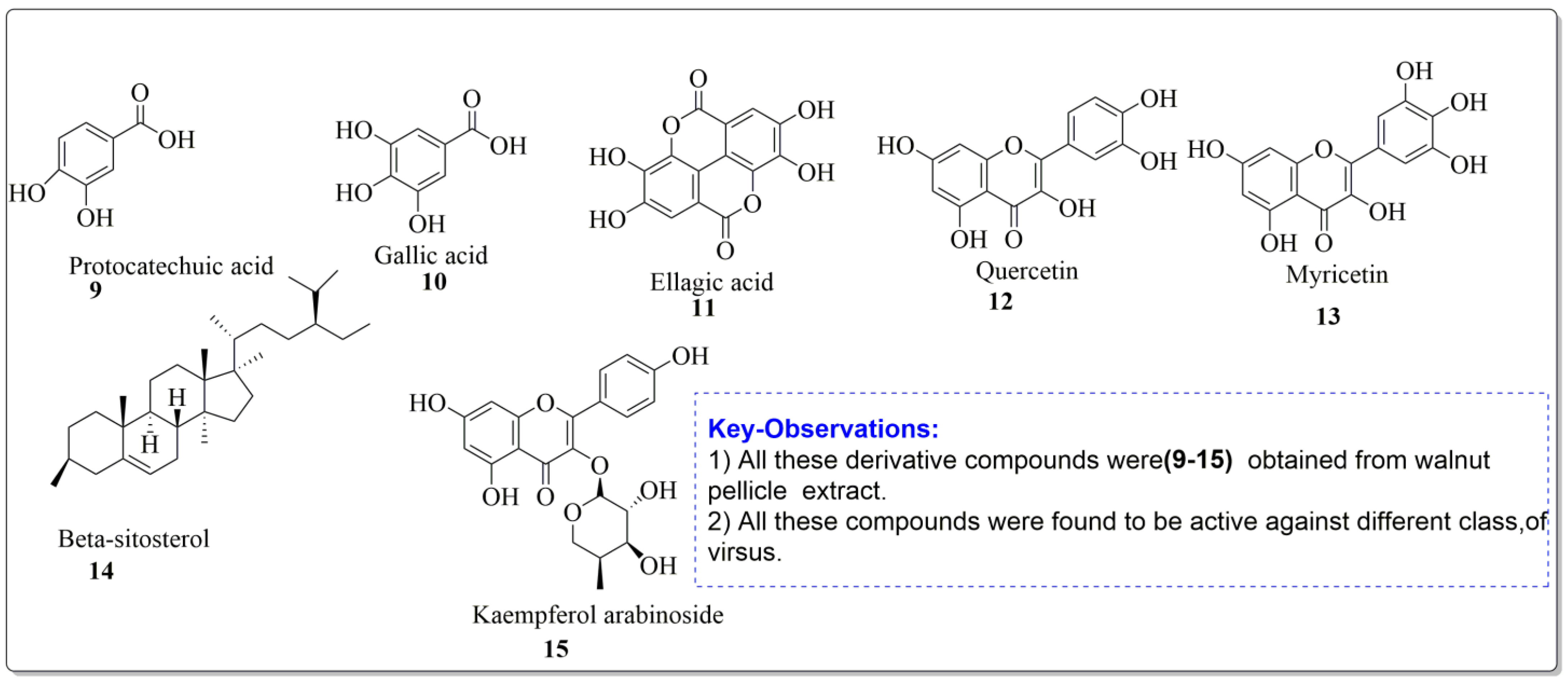 Life 13 00380 g005 Life 13 00380 g005