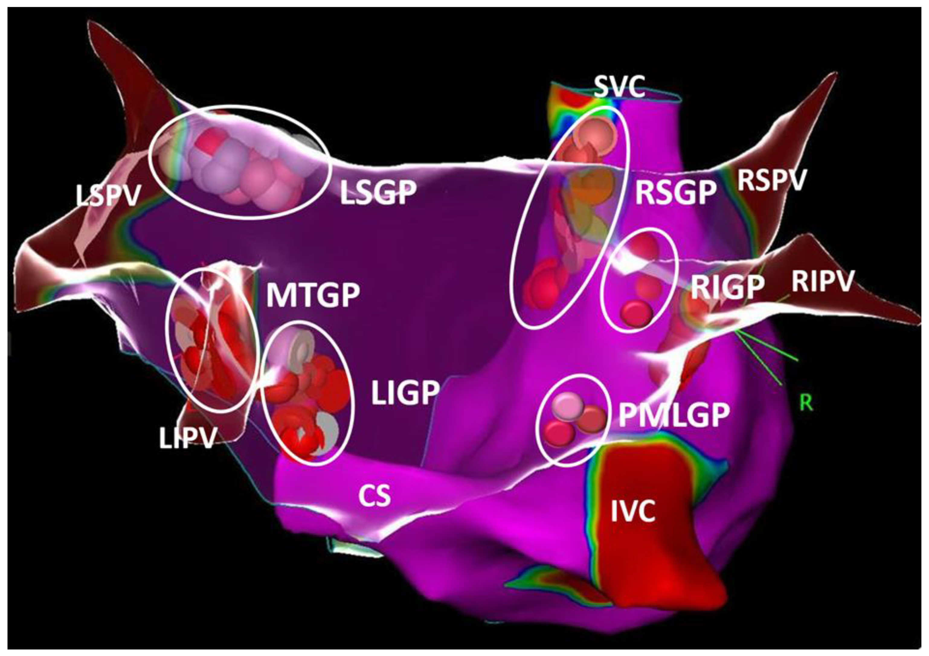 Life 13 00383 g001 Life 13 00383 g001