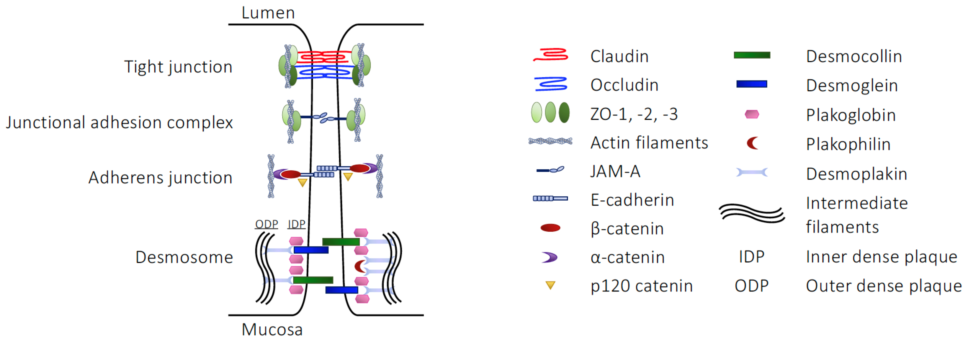 Life 13 00396 g001 Life 13 00396 g001