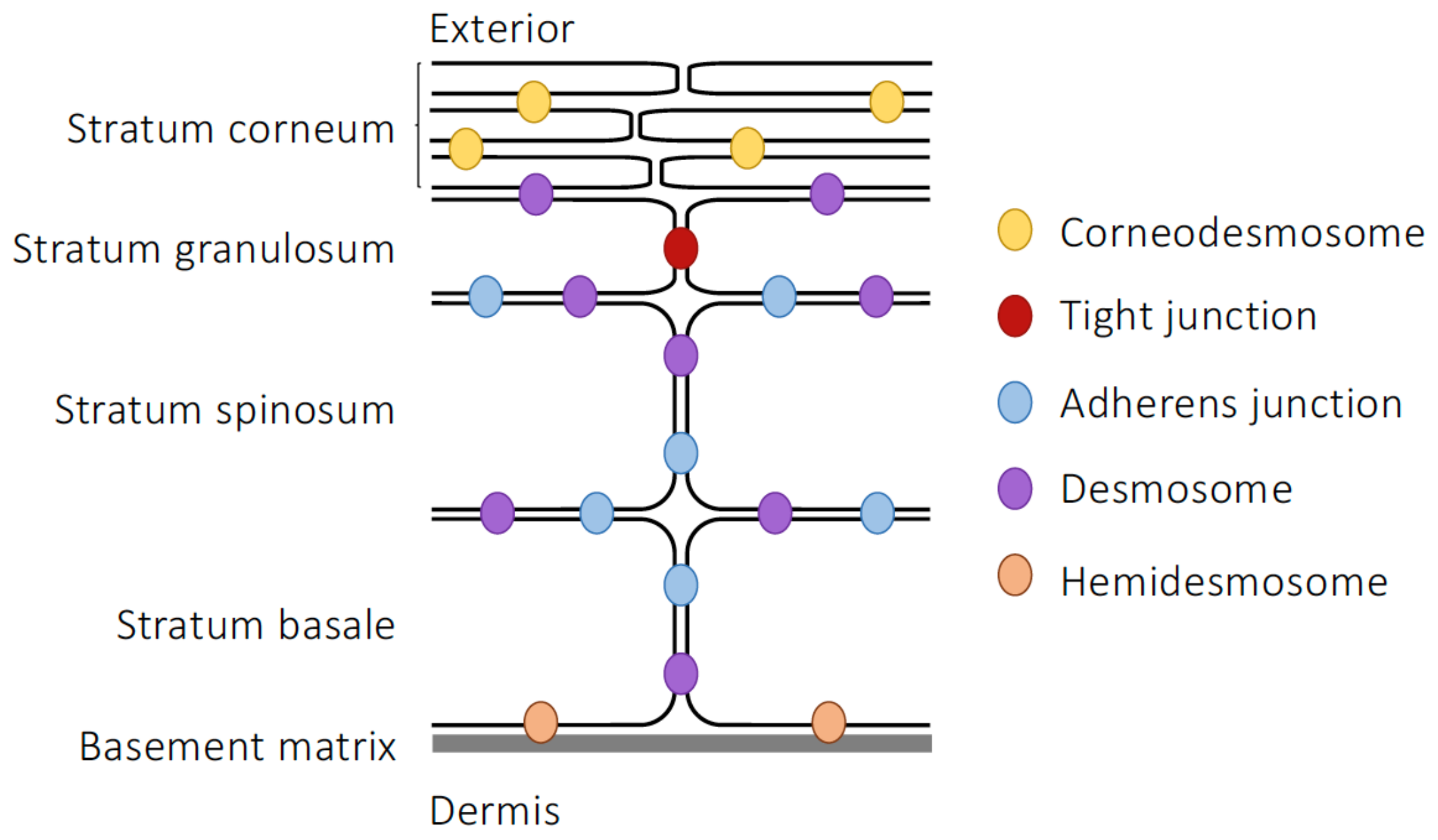 Life 13 00396 g002 Life 13 00396 g002