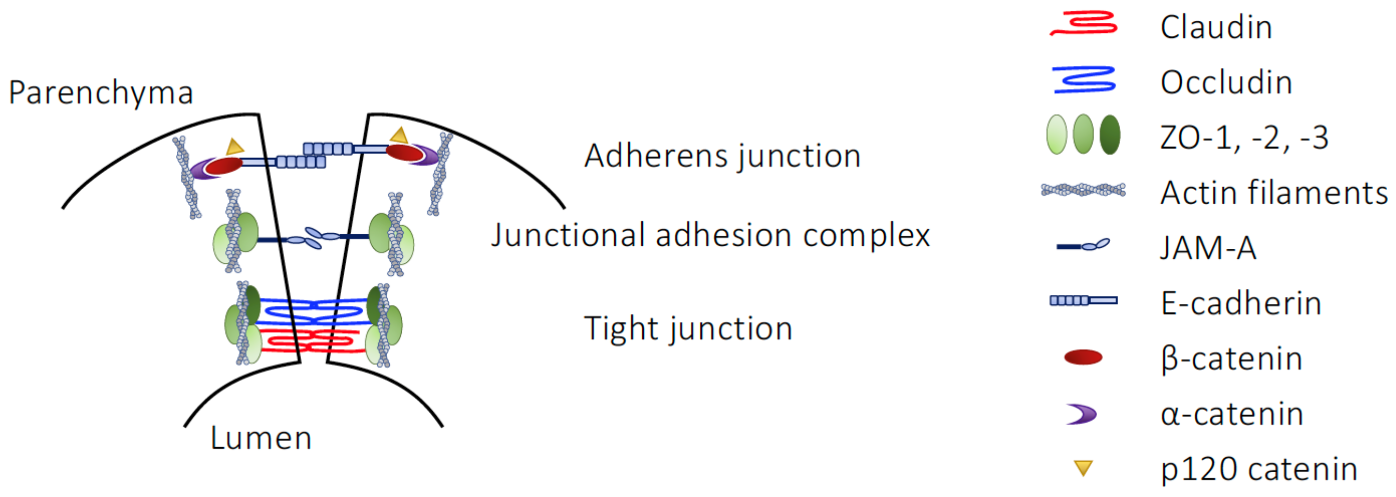 Life 13 00396 g003 Life 13 00396 g003