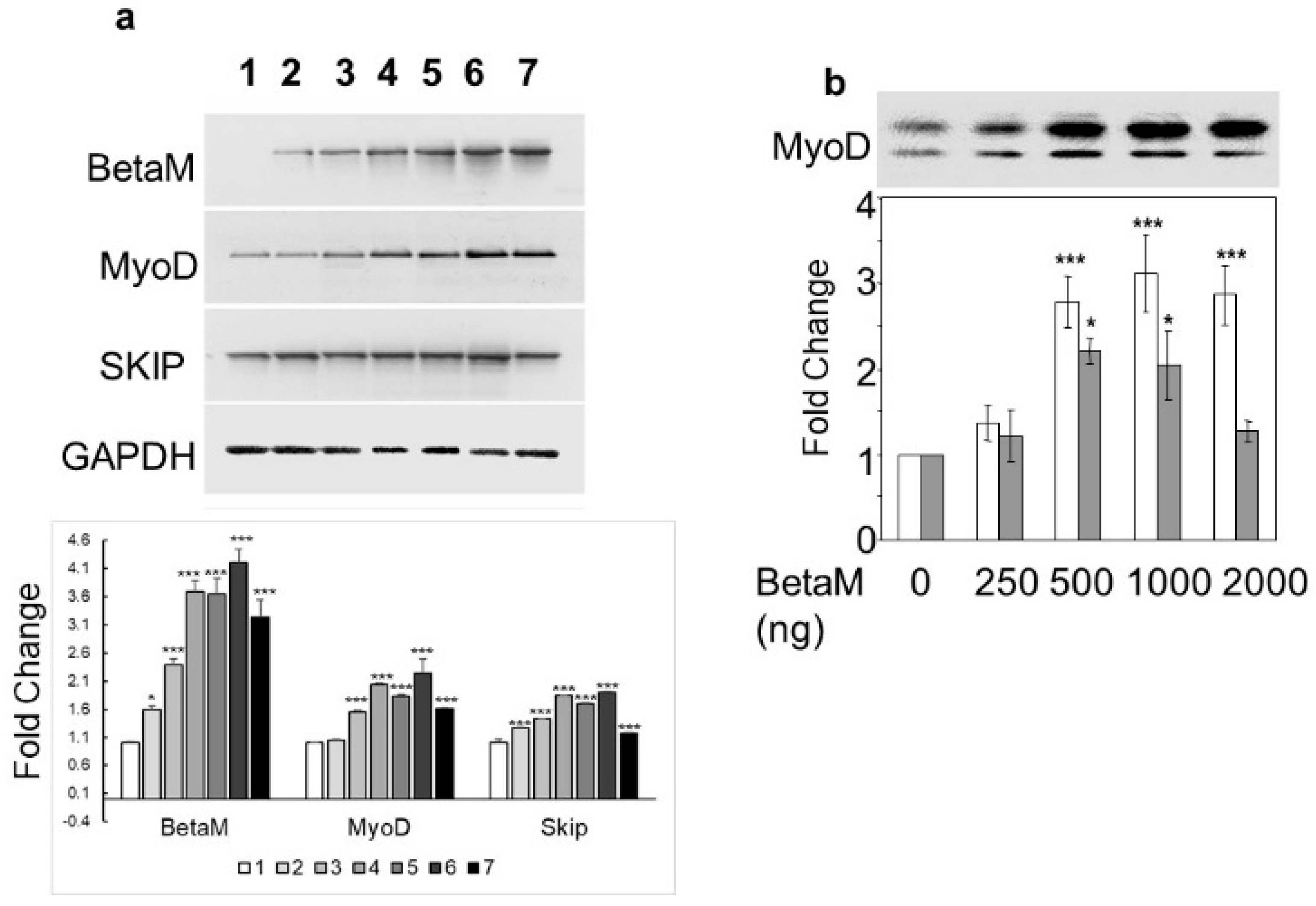 Life 13 00414 g002 Life 13 00414 g002