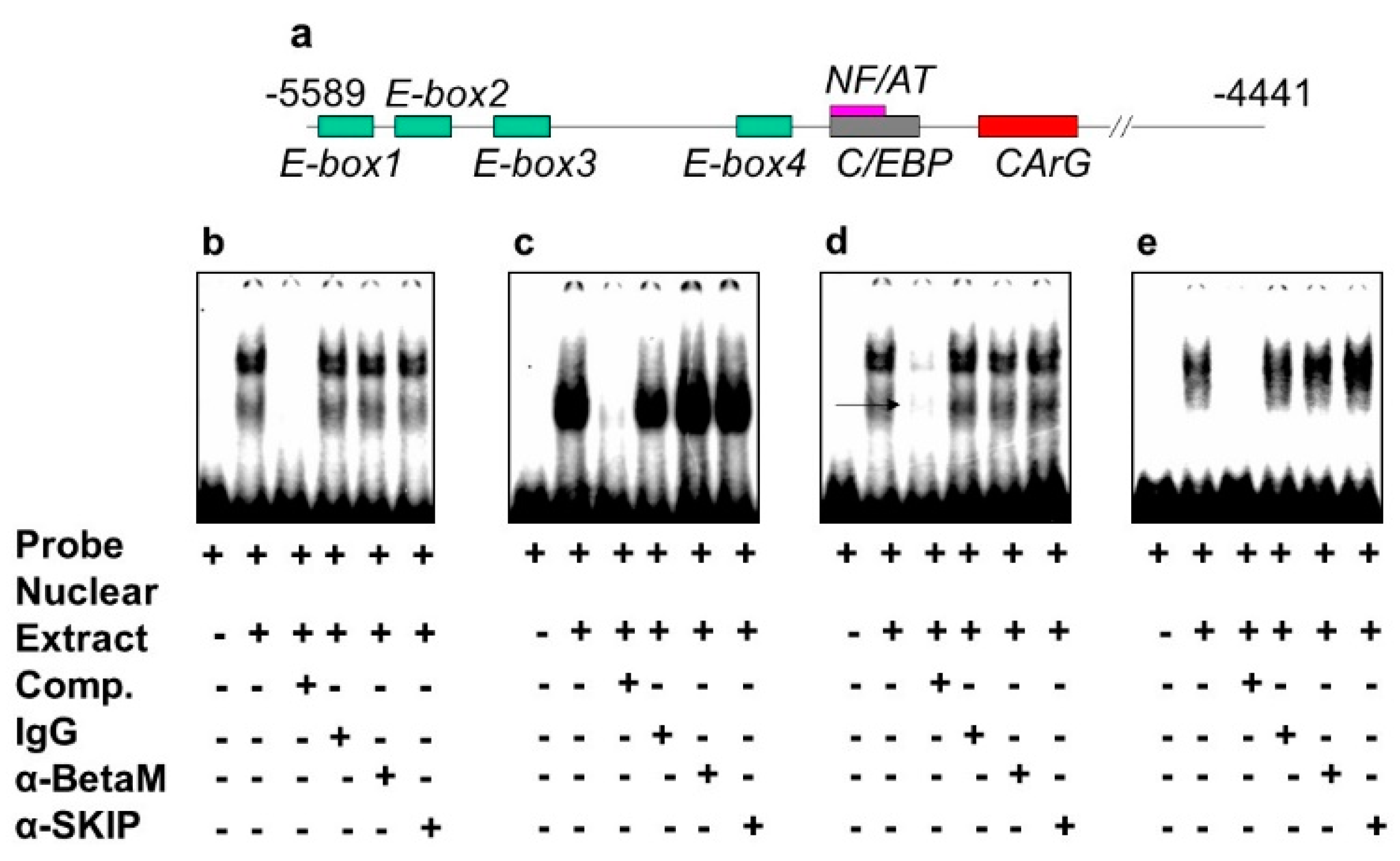 Life 13 00414 g004 Life 13 00414 g004