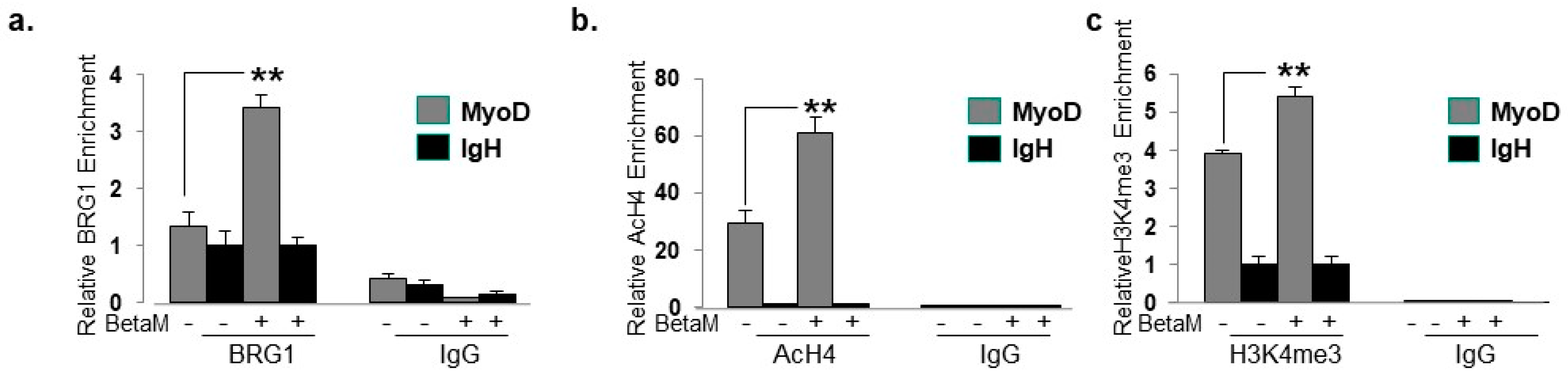 Life 13 00414 g008 Life 13 00414 g008