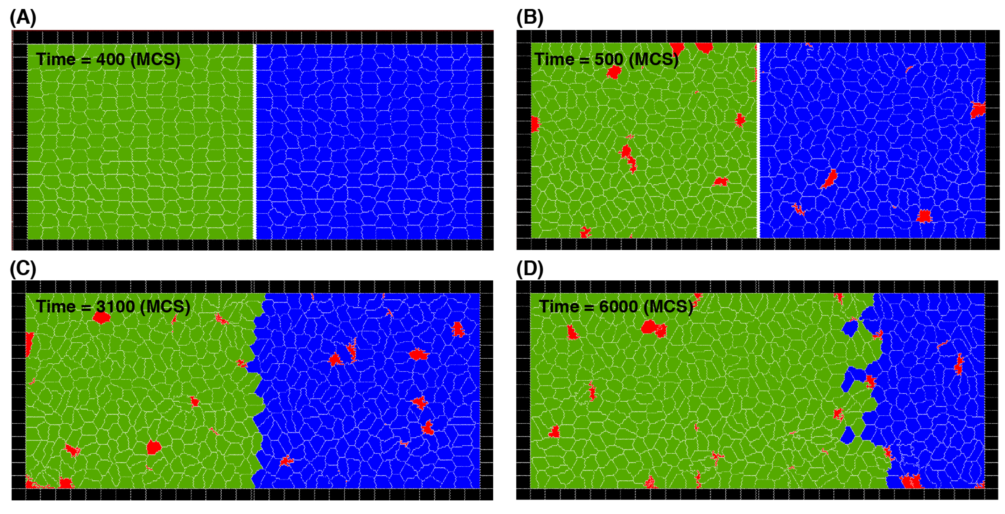 Life 13 00427 g003 Life 13 00427 g003