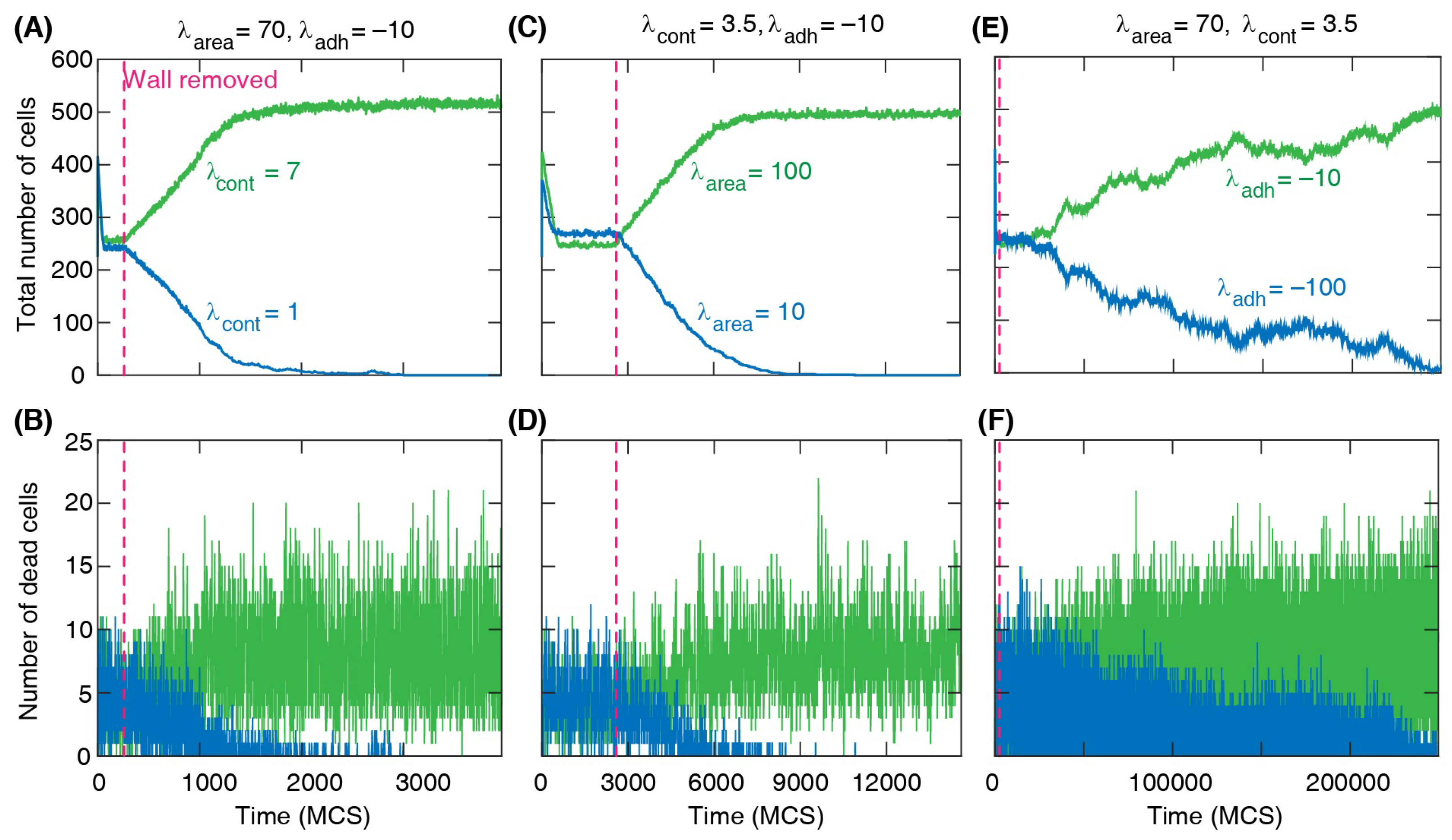 Life 13 00427 g006 Life 13 00427 g006