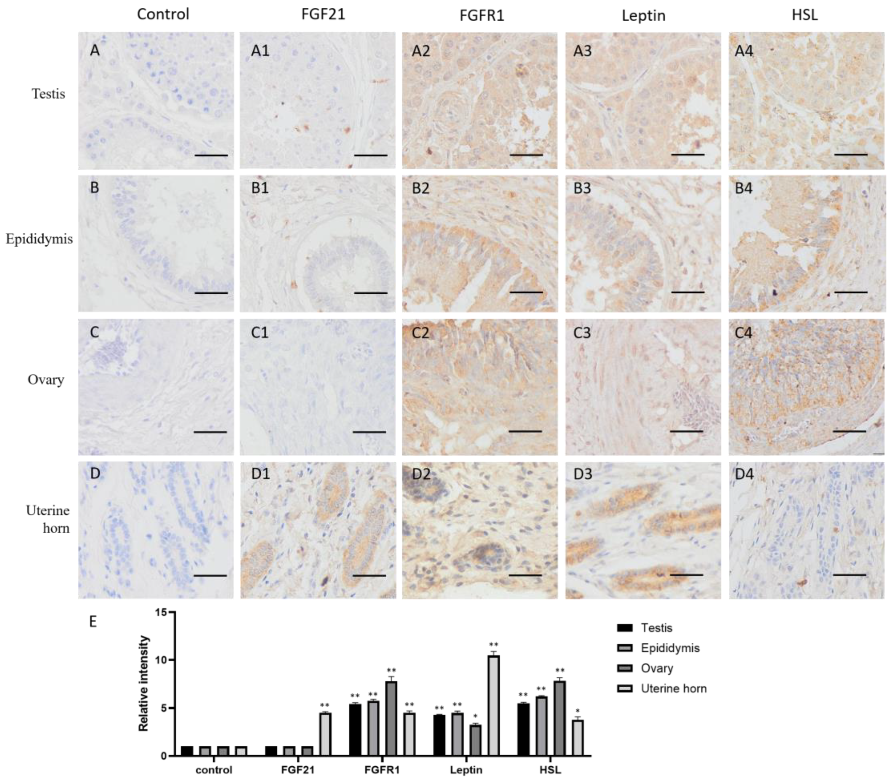 Life 13 00432 g002 Life 13 00432 g002