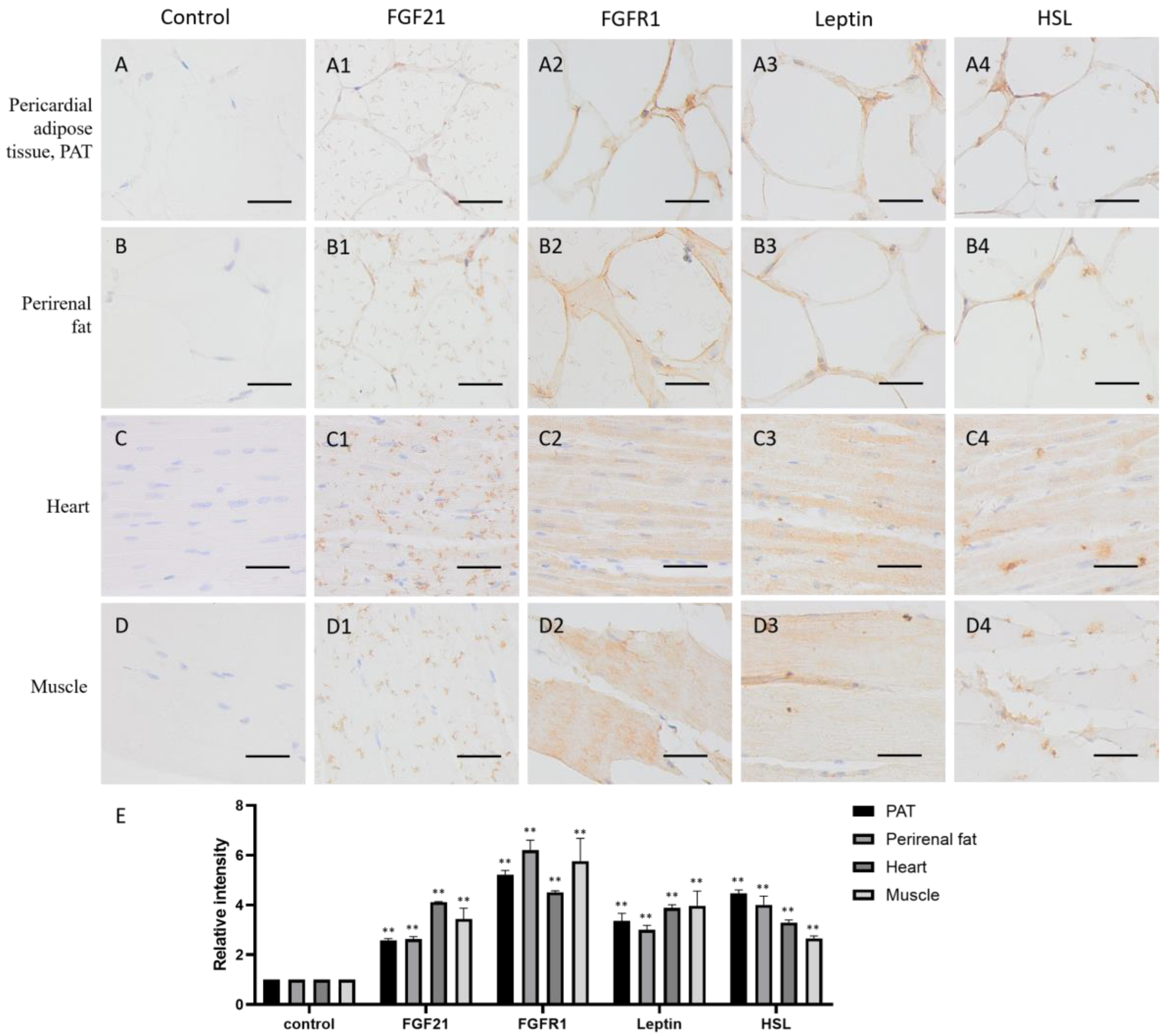 Life 13 00432 g003 Life 13 00432 g003