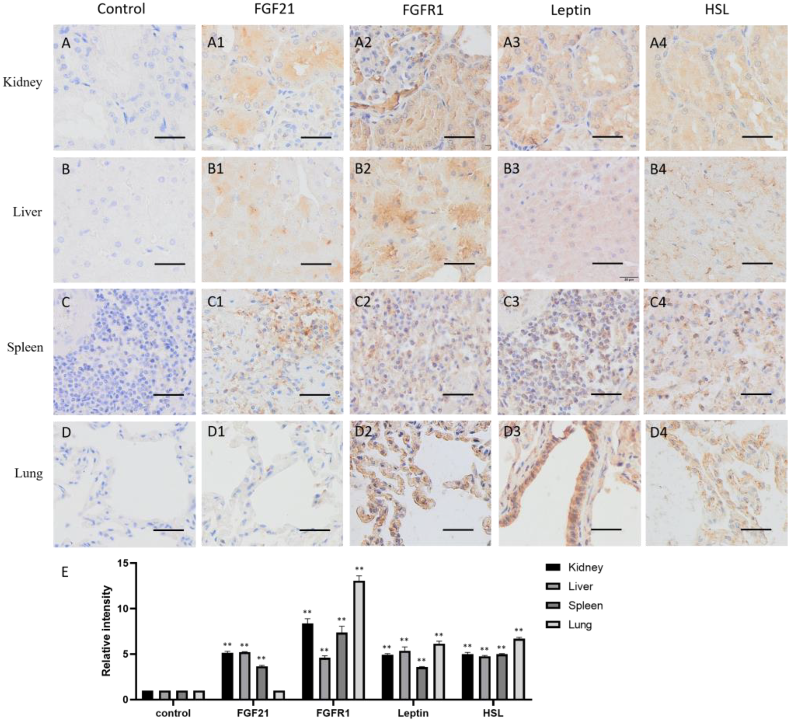 Life 13 00432 g004 Life 13 00432 g004