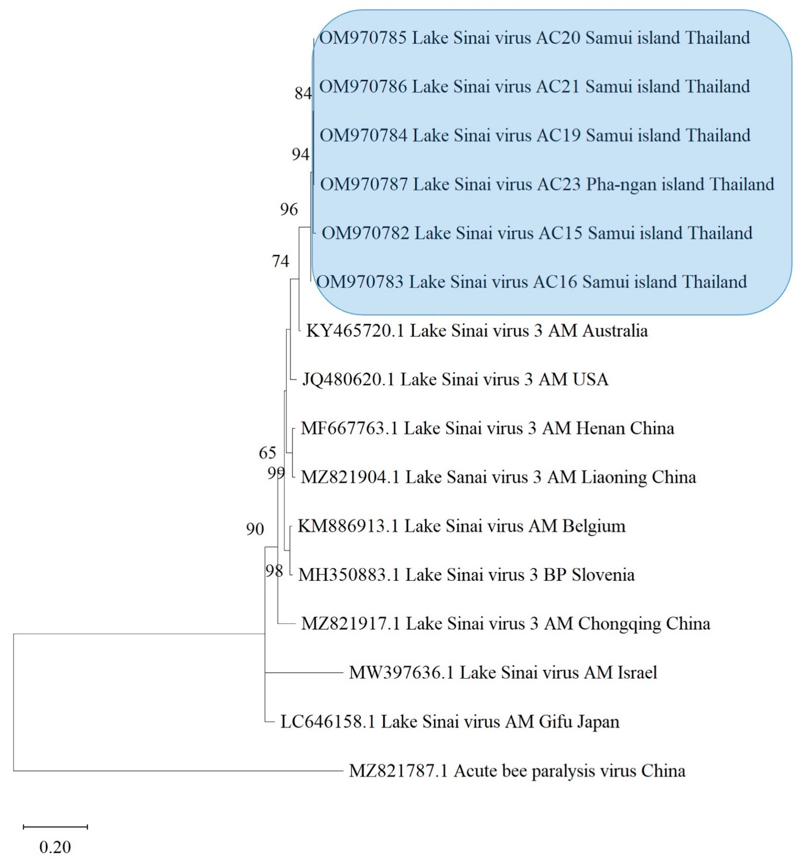 Life 13 00438 g003 Life 13 00438 g003