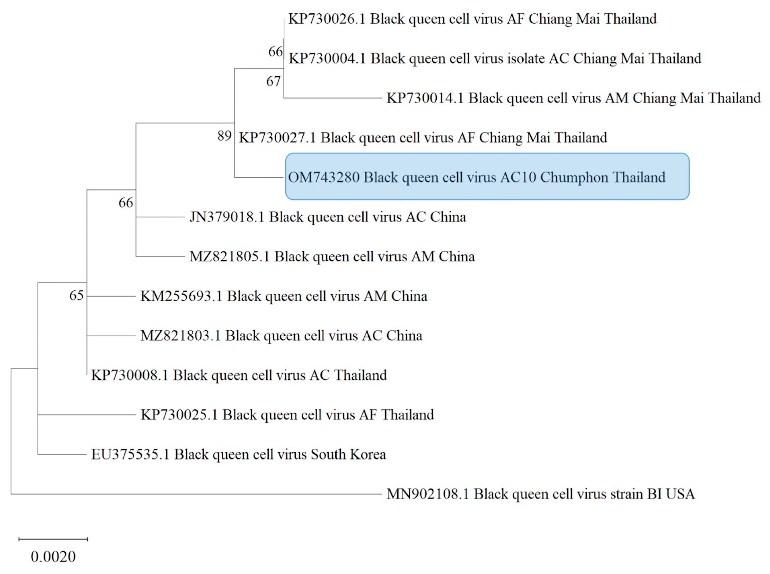 Life 13 00438 g004 Life 13 00438 g004