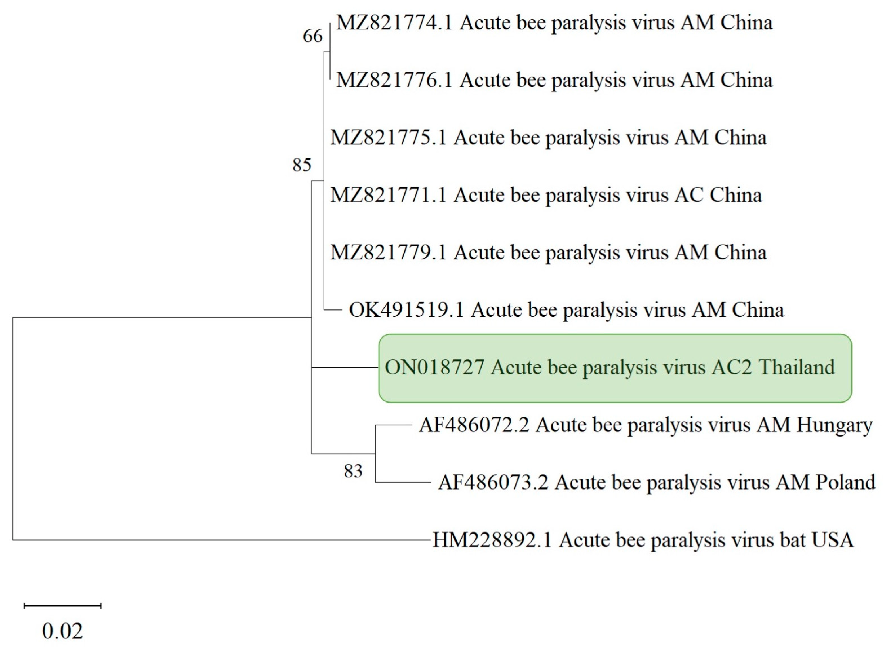 Life 13 00438 g005 Life 13 00438 g005