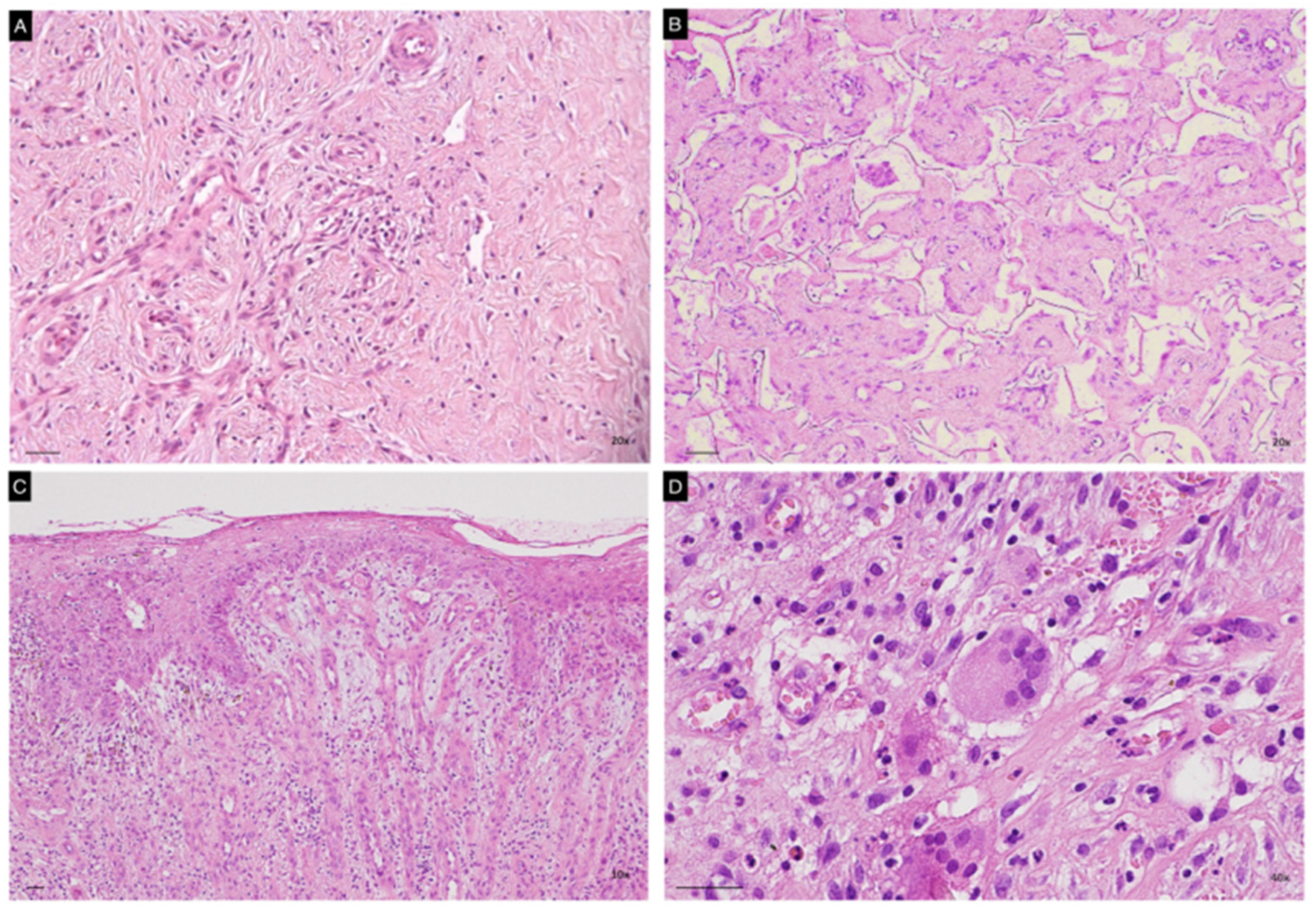 Life 13 00463 g003 Life 13 00463 g003