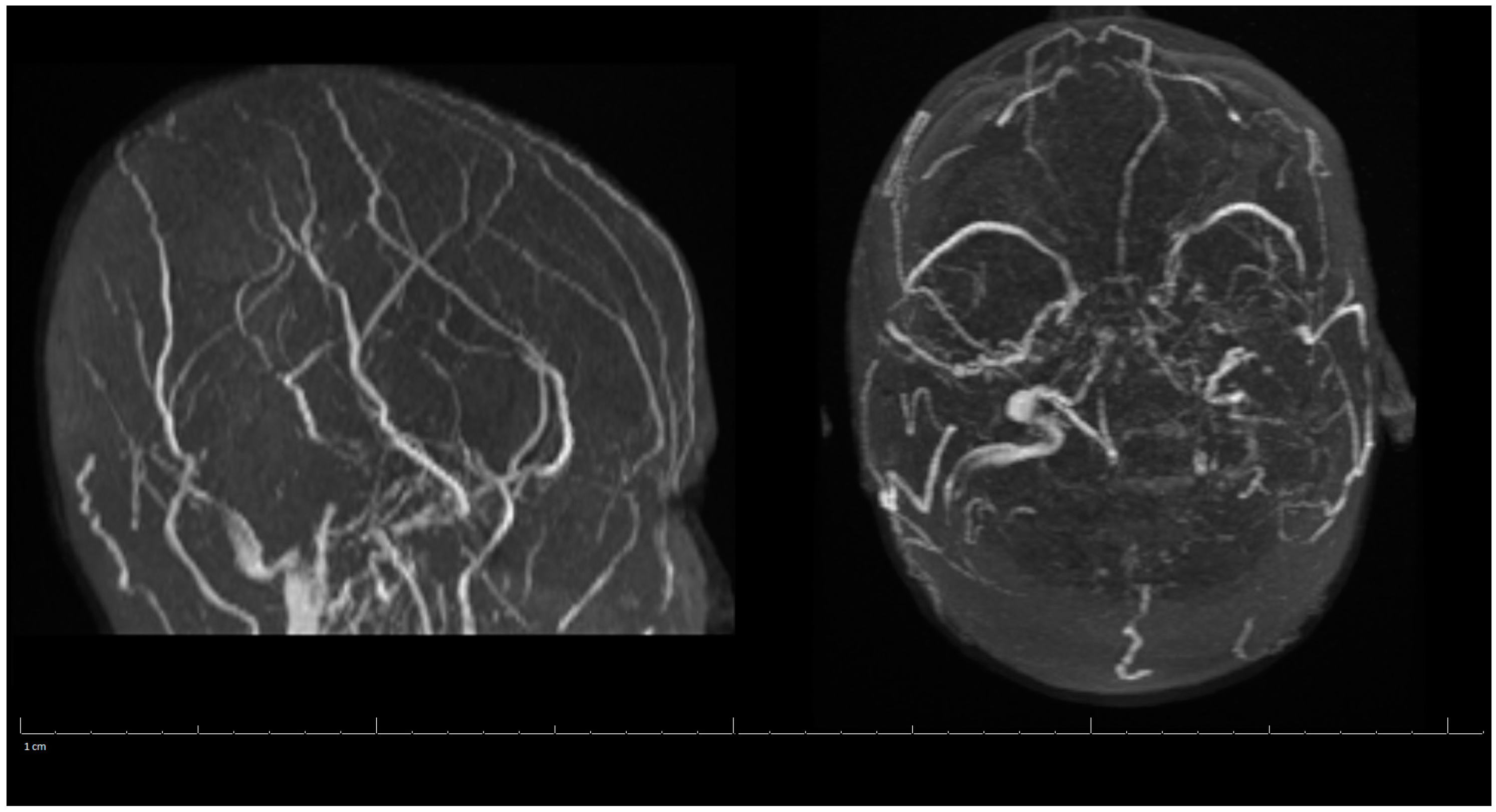 Life 13 00464 g002 Life 13 00464 g002