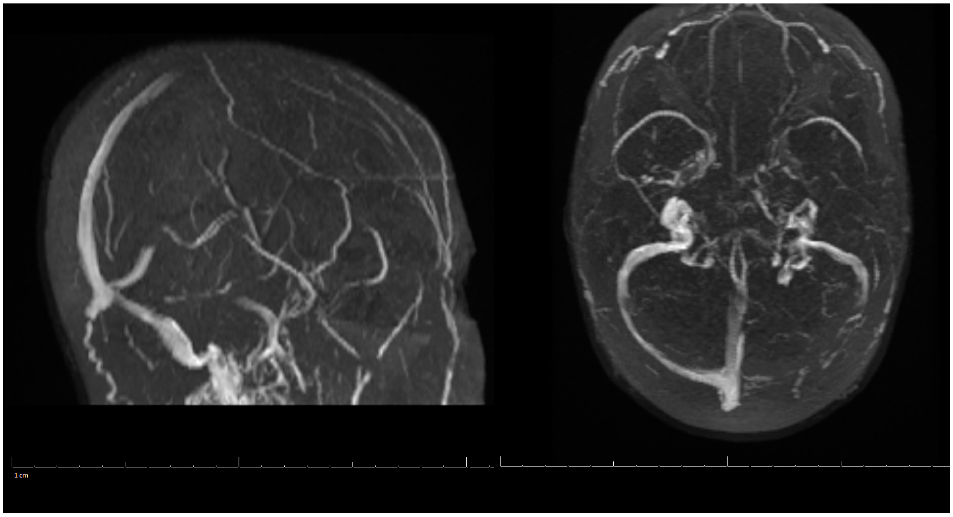 Life 13 00464 g003 Life 13 00464 g003