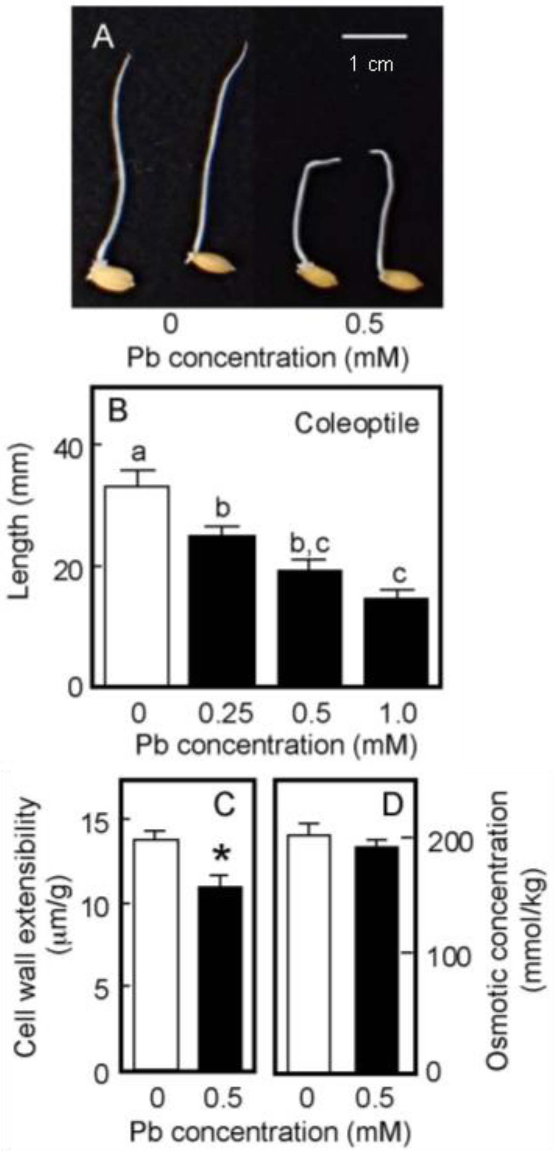 Life 13 00471 g004 Life 13 00471 g004