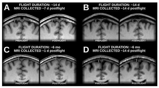 Life 13 00500 g0a1 550