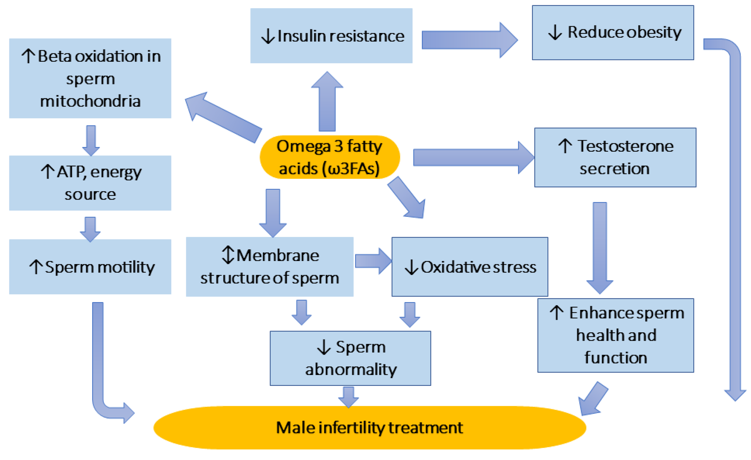 Life 13 00519 g002 Life 13 00519 g002