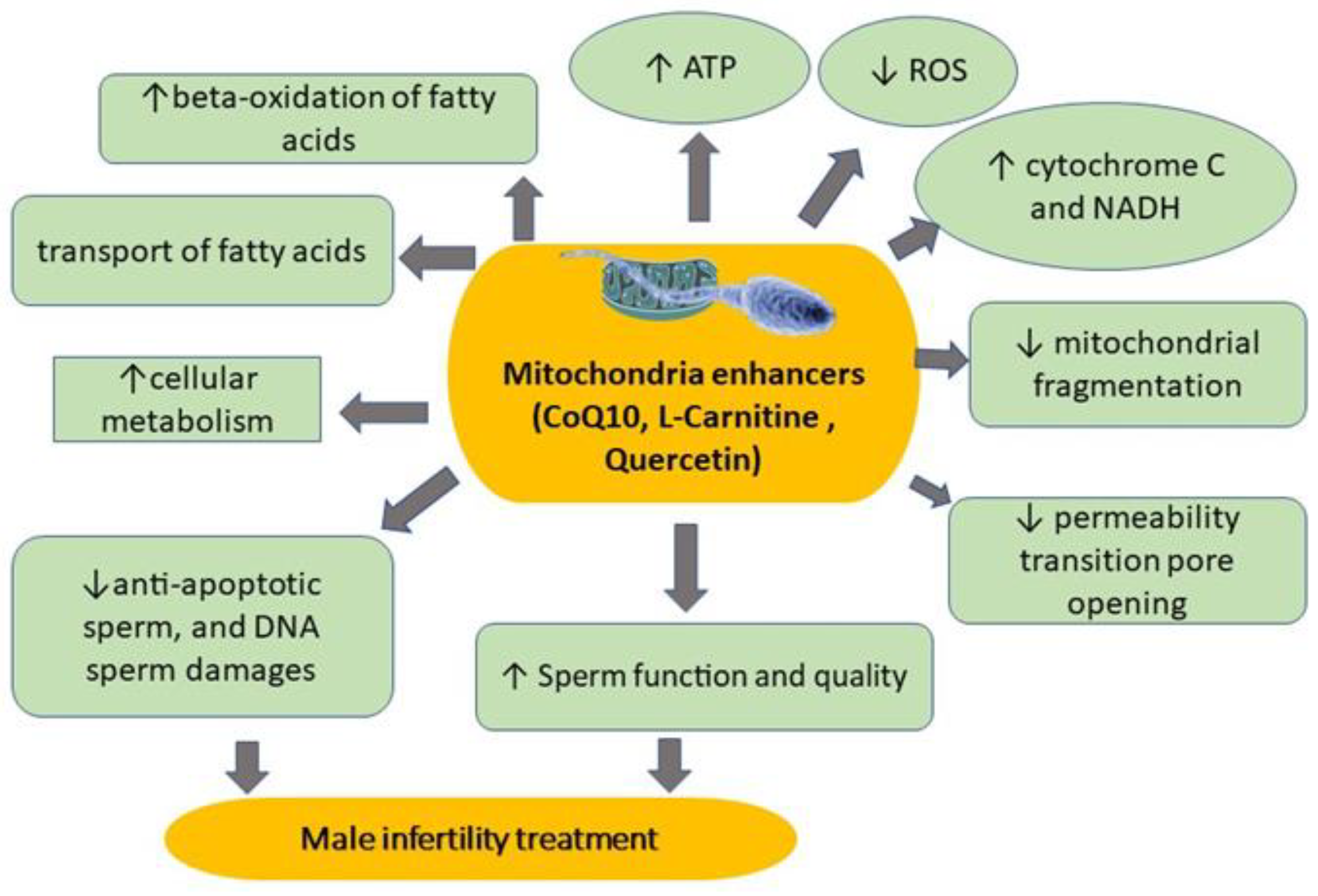 Life 13 00519 g004 Life 13 00519 g004