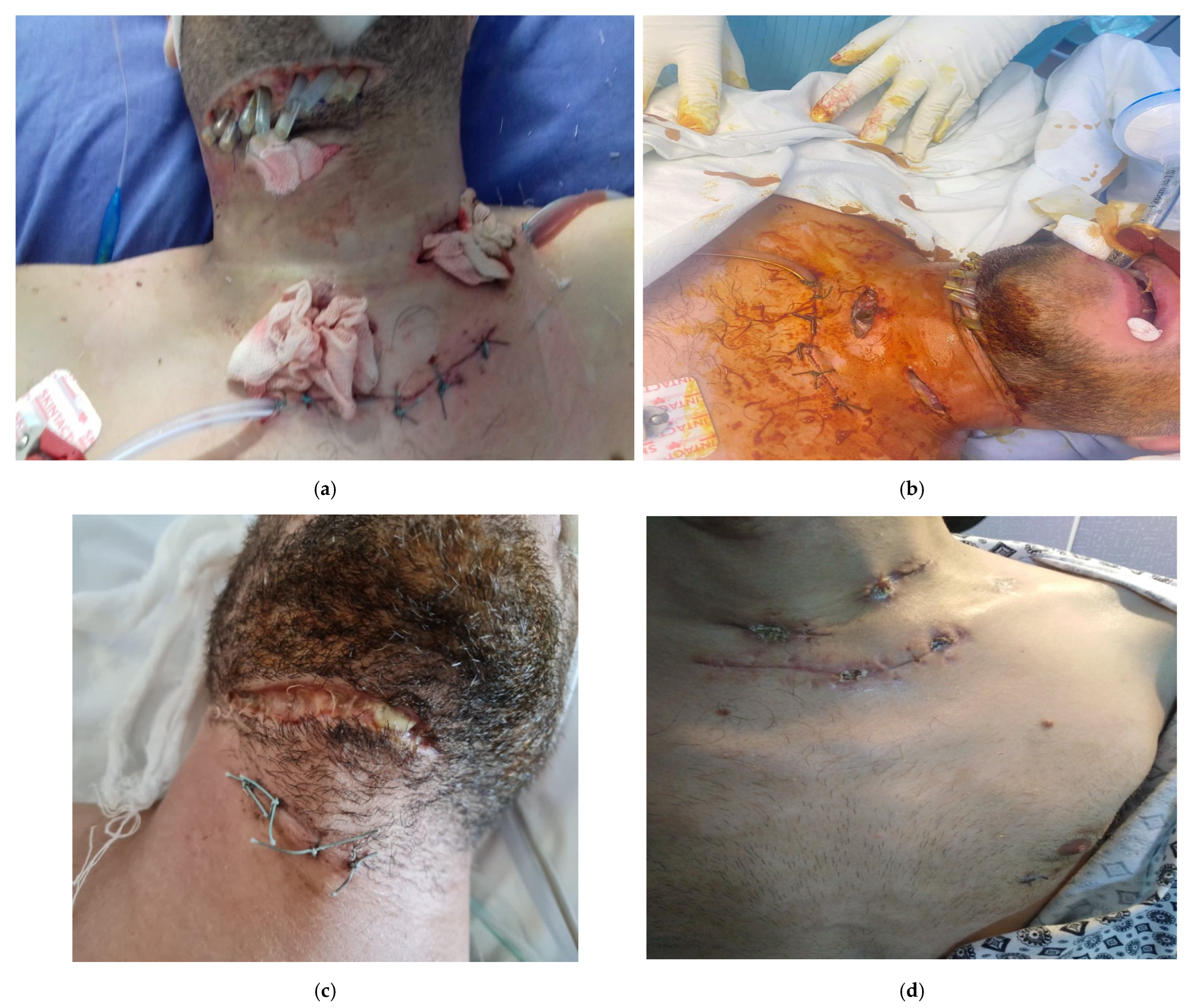 Life 13 00535 g006a Life 13 00535 g006a