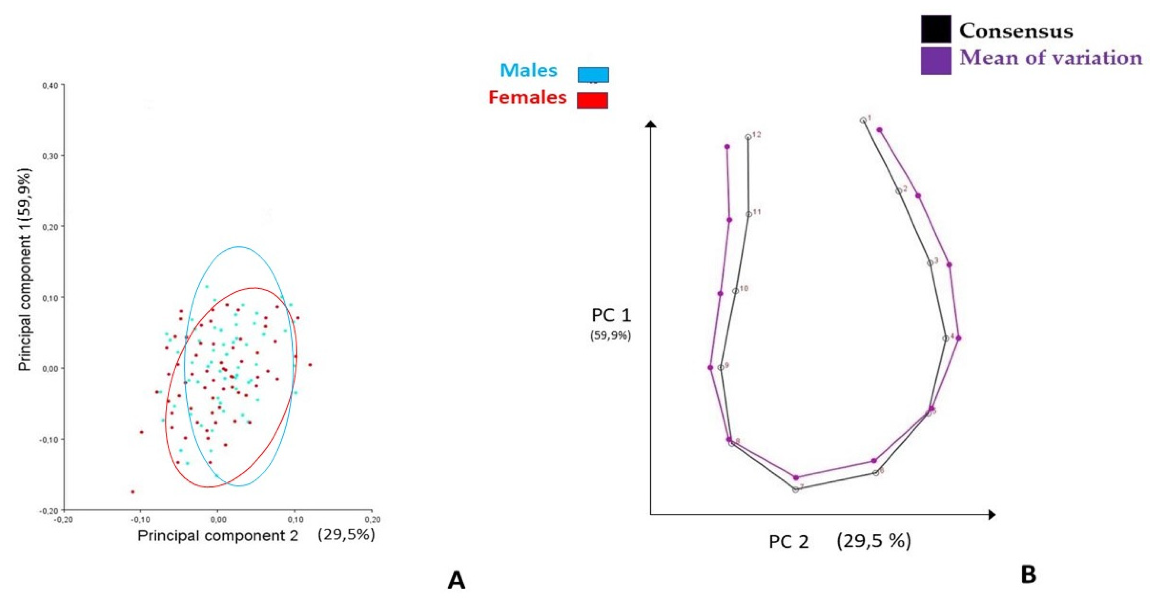 Life 13 00543 g002 Life 13 00543 g002