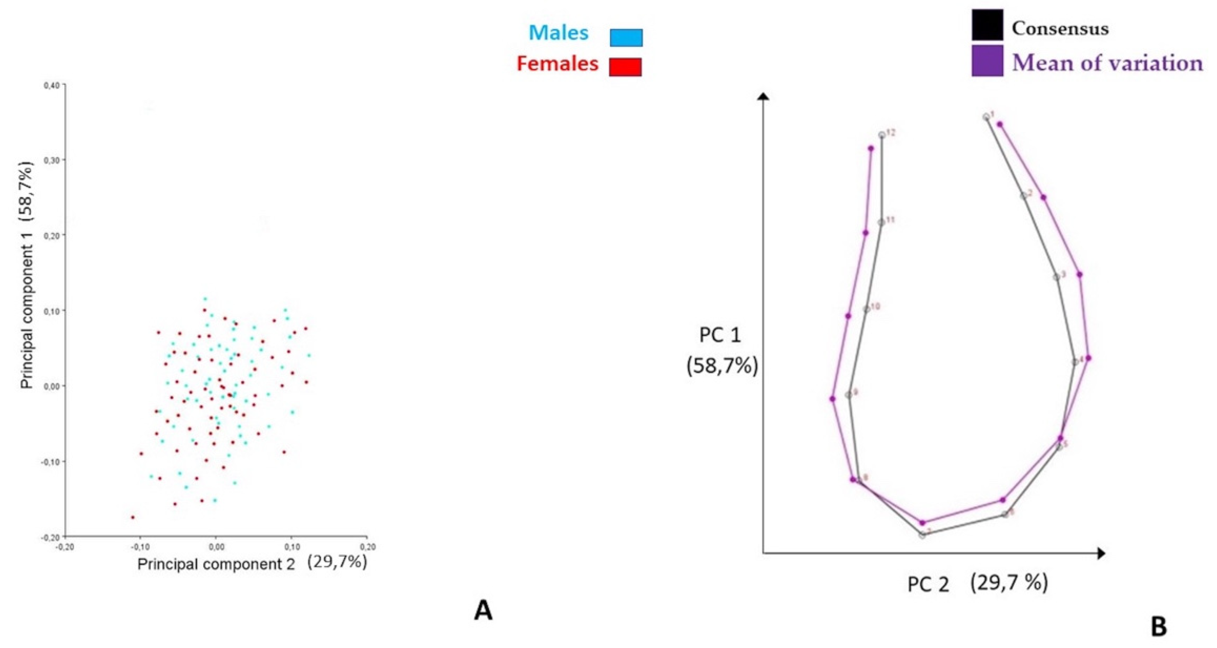 Life 13 00543 g003 Life 13 00543 g003
