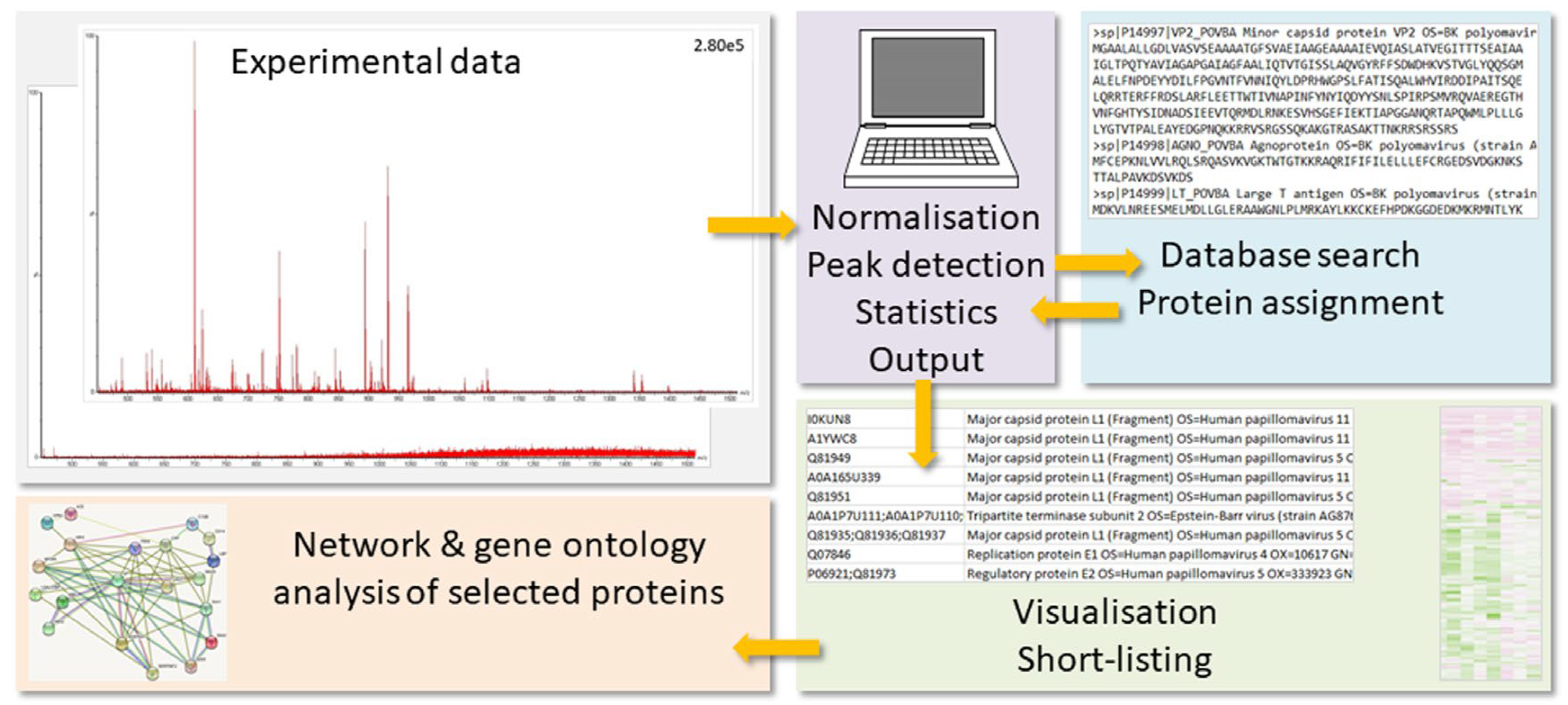Life 13 00544 g001 Life 13 00544 g001