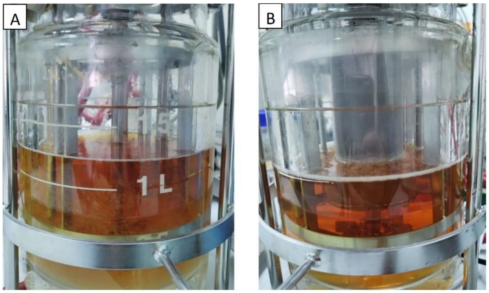 Life 13 00558 g004 Life 13 00558 g004