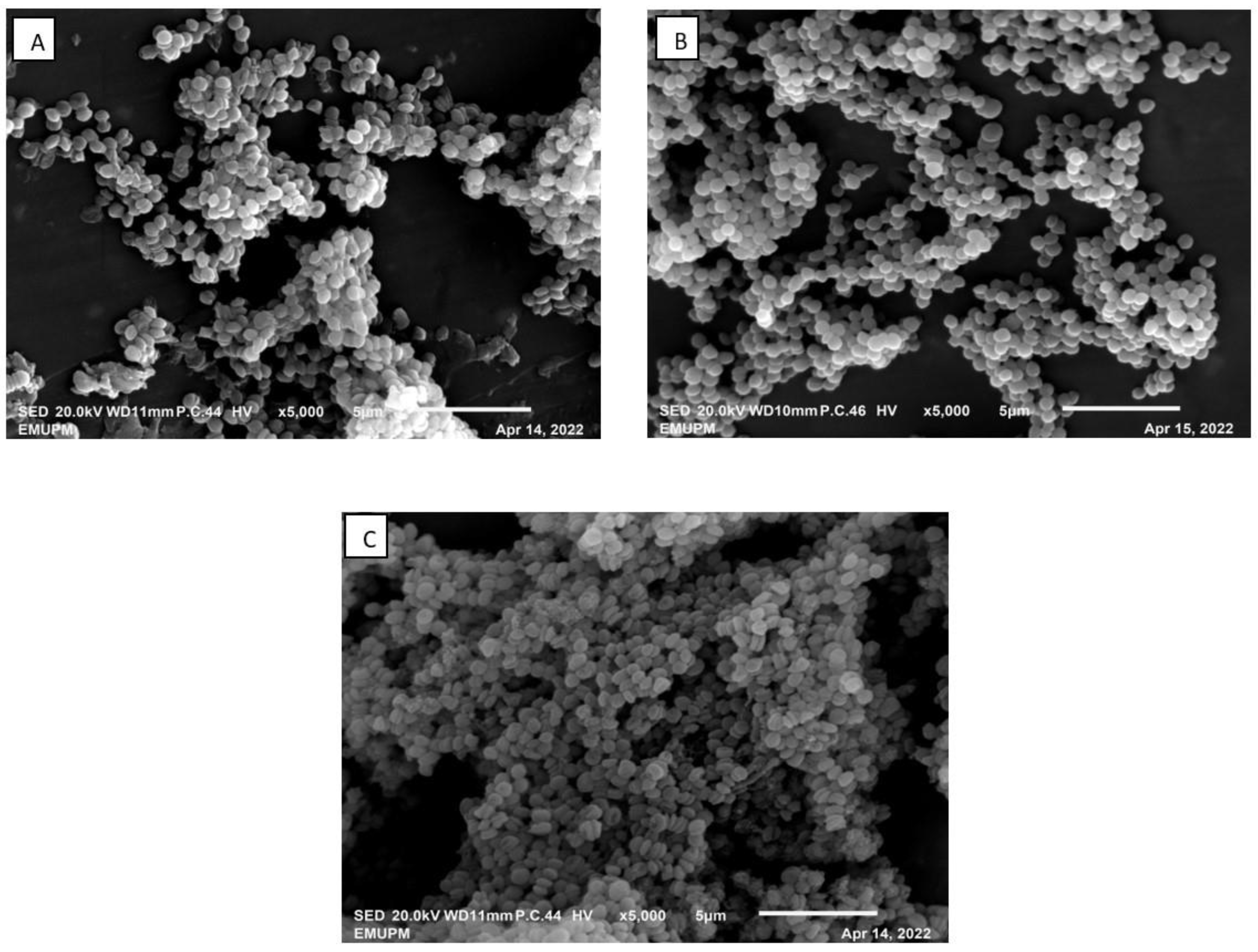 Life 13 00558 g006 Life 13 00558 g006