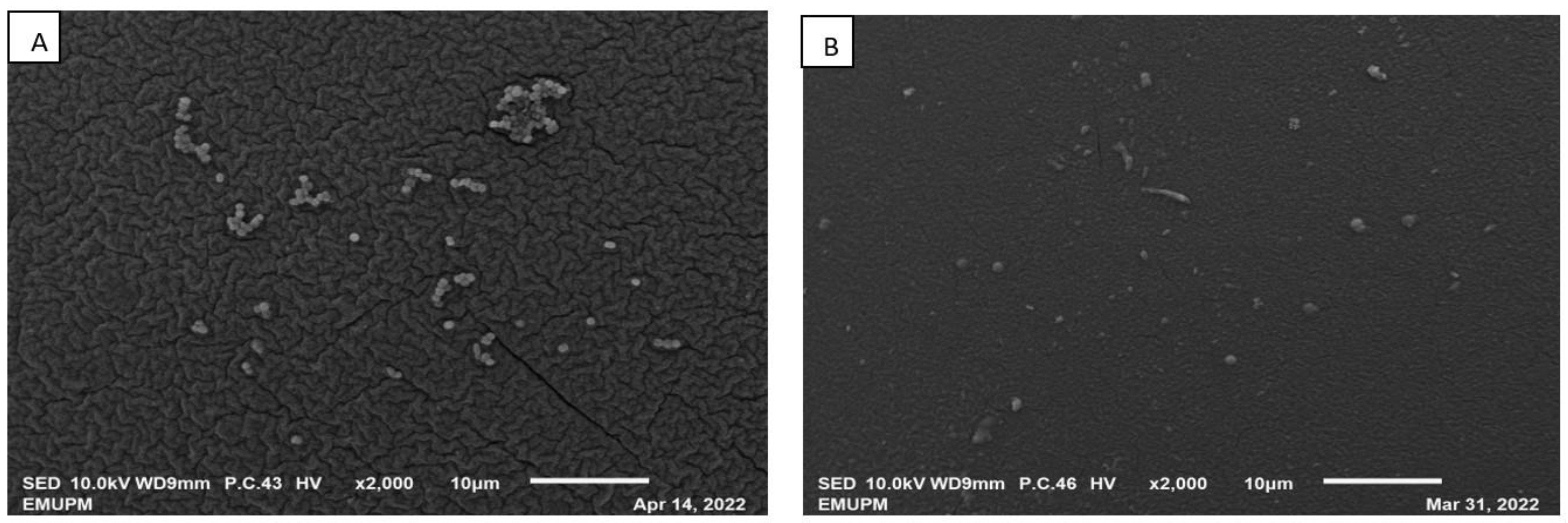 Life 13 00558 g007 Life 13 00558 g007