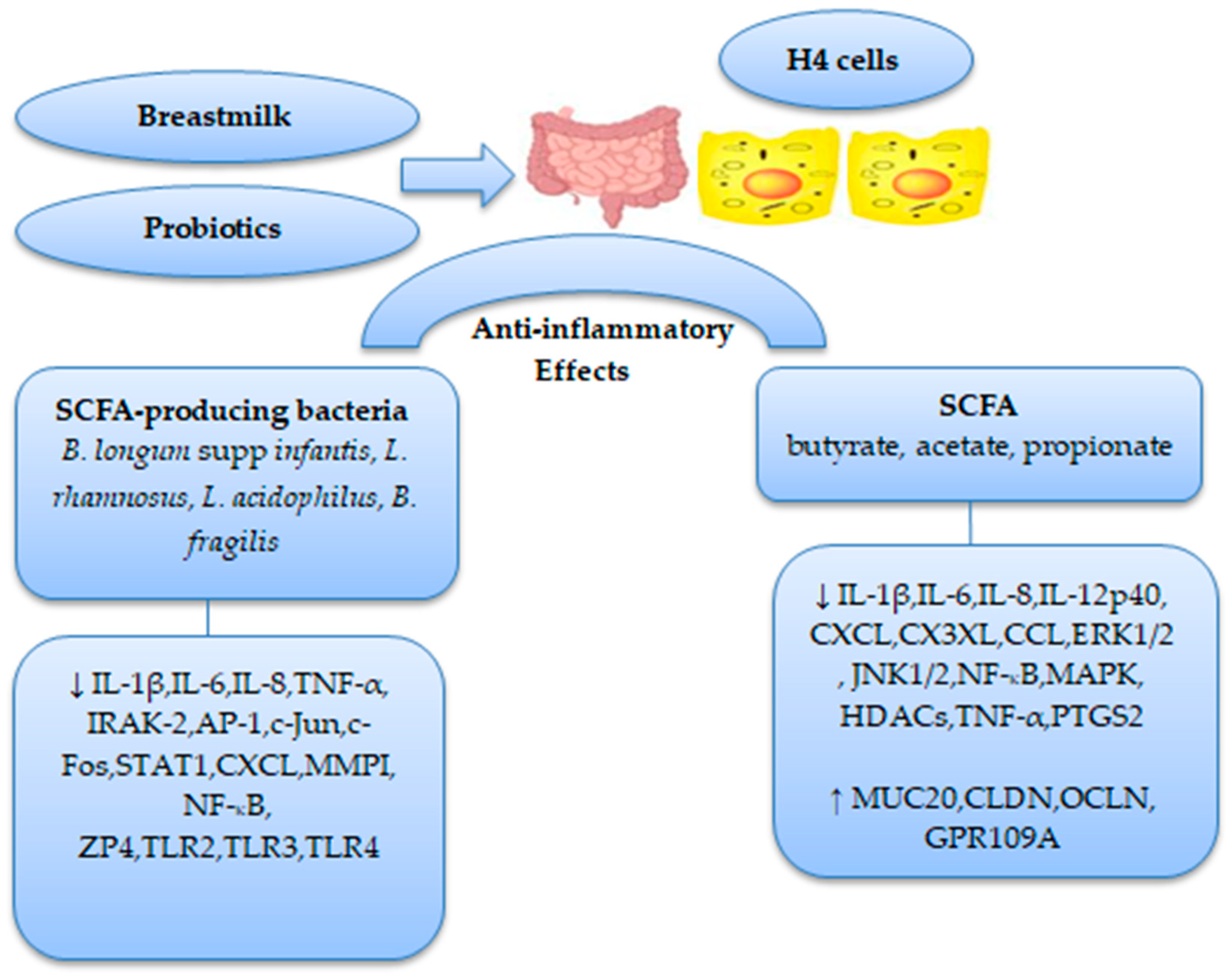 Life 13 00561 g001 Life 13 00561 g001