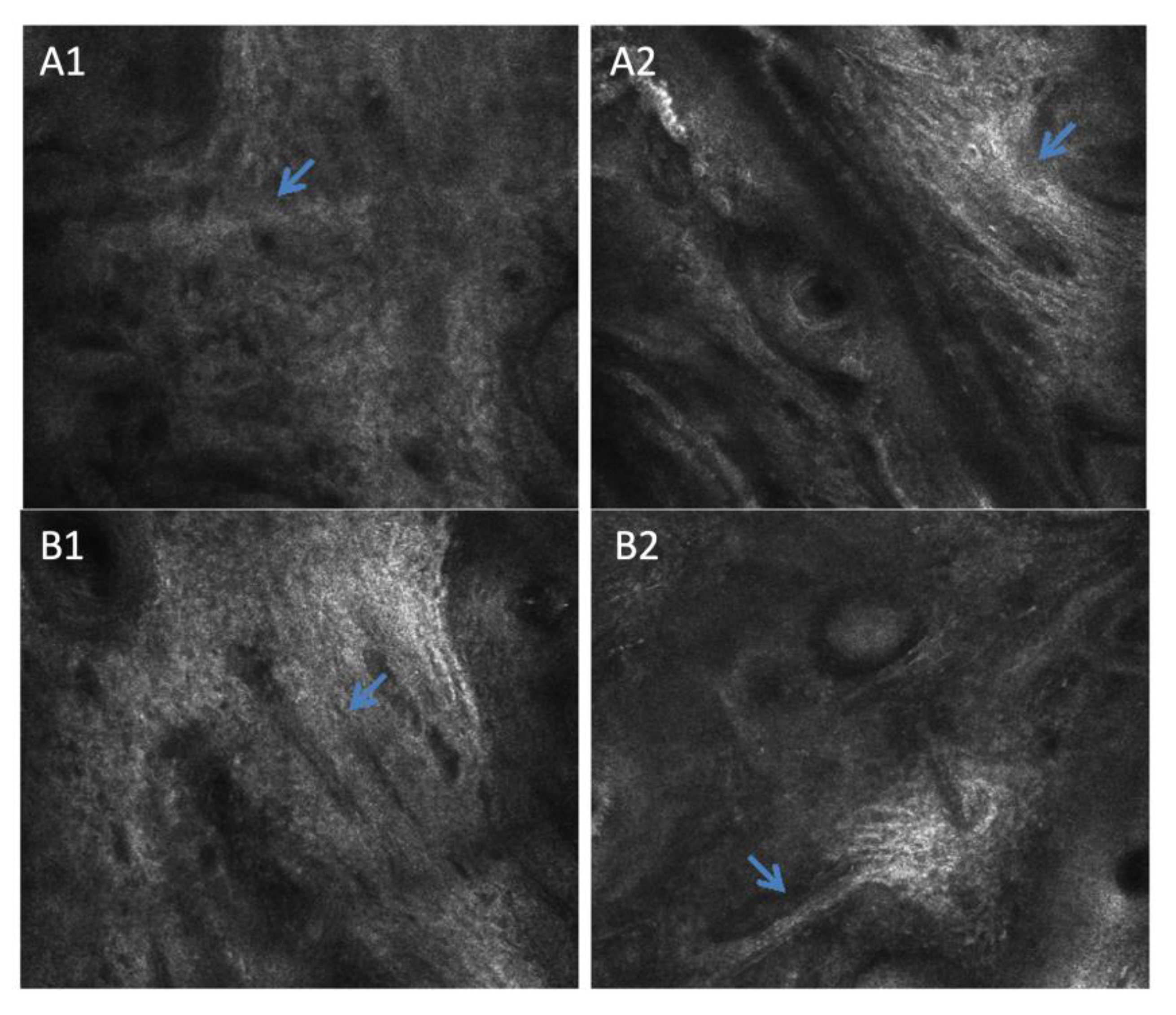 Life 13 00579 g009 Life 13 00579 g009