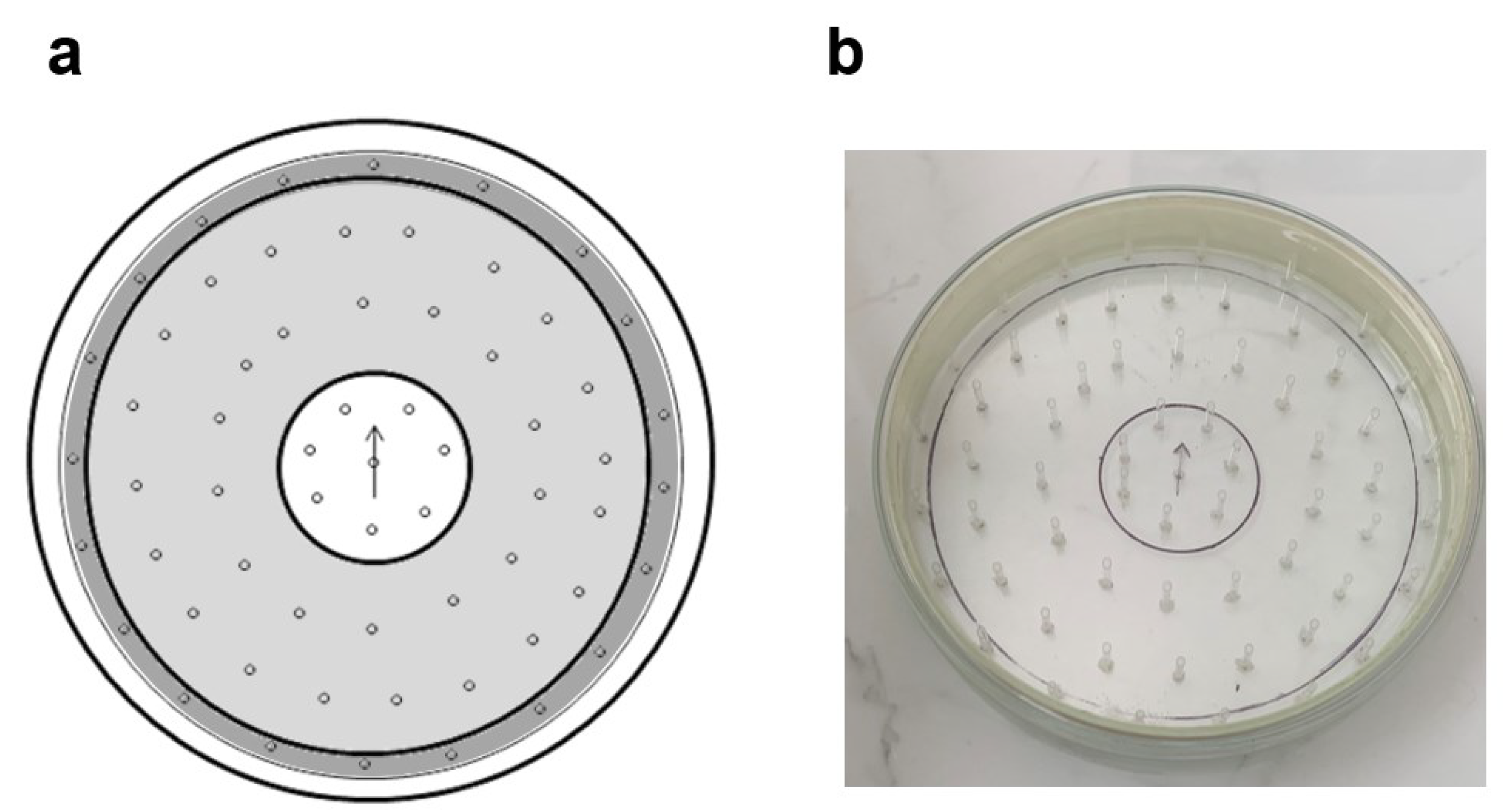 Life 13 00612 g001 Life 13 00612 g001