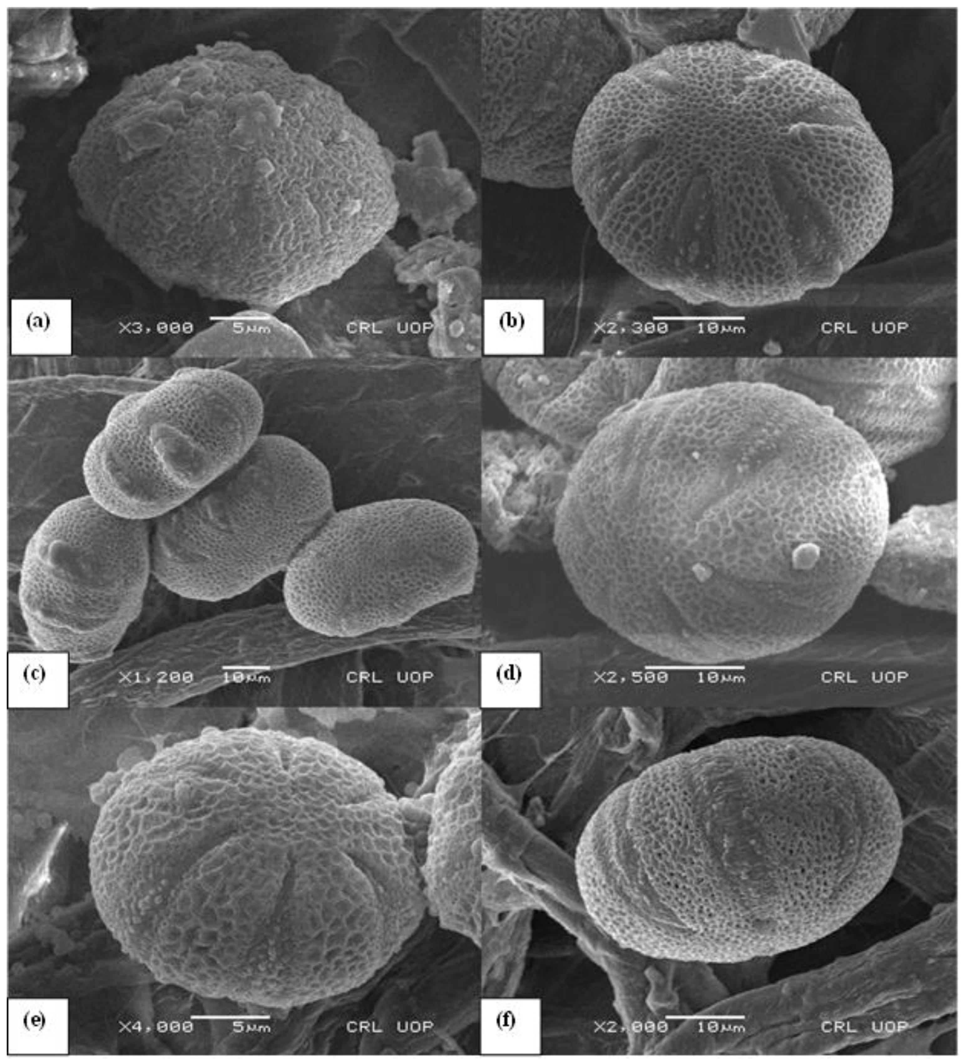 Life 13 00634 g004 Life 13 00634 g004