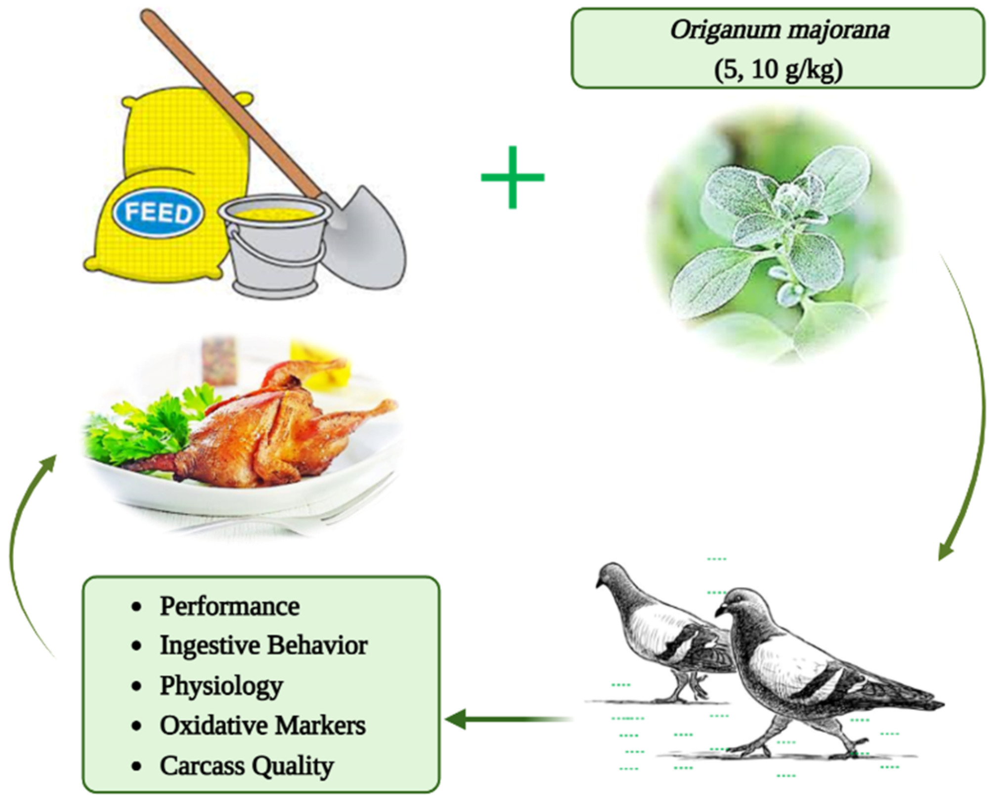 Life 13 00664 g001 Life 13 00664 g001