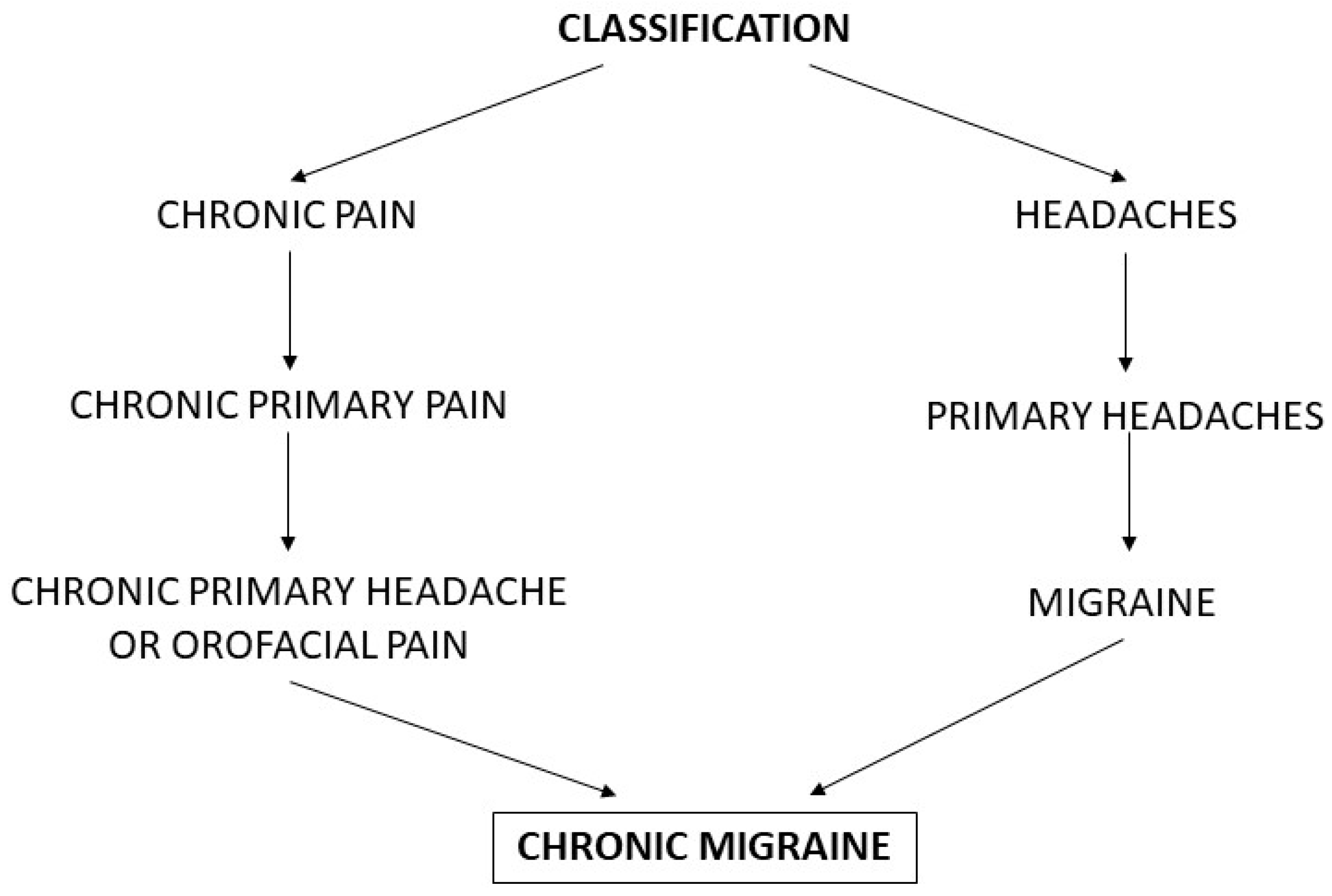 Life 13 00665 g001 Life 13 00665 g001