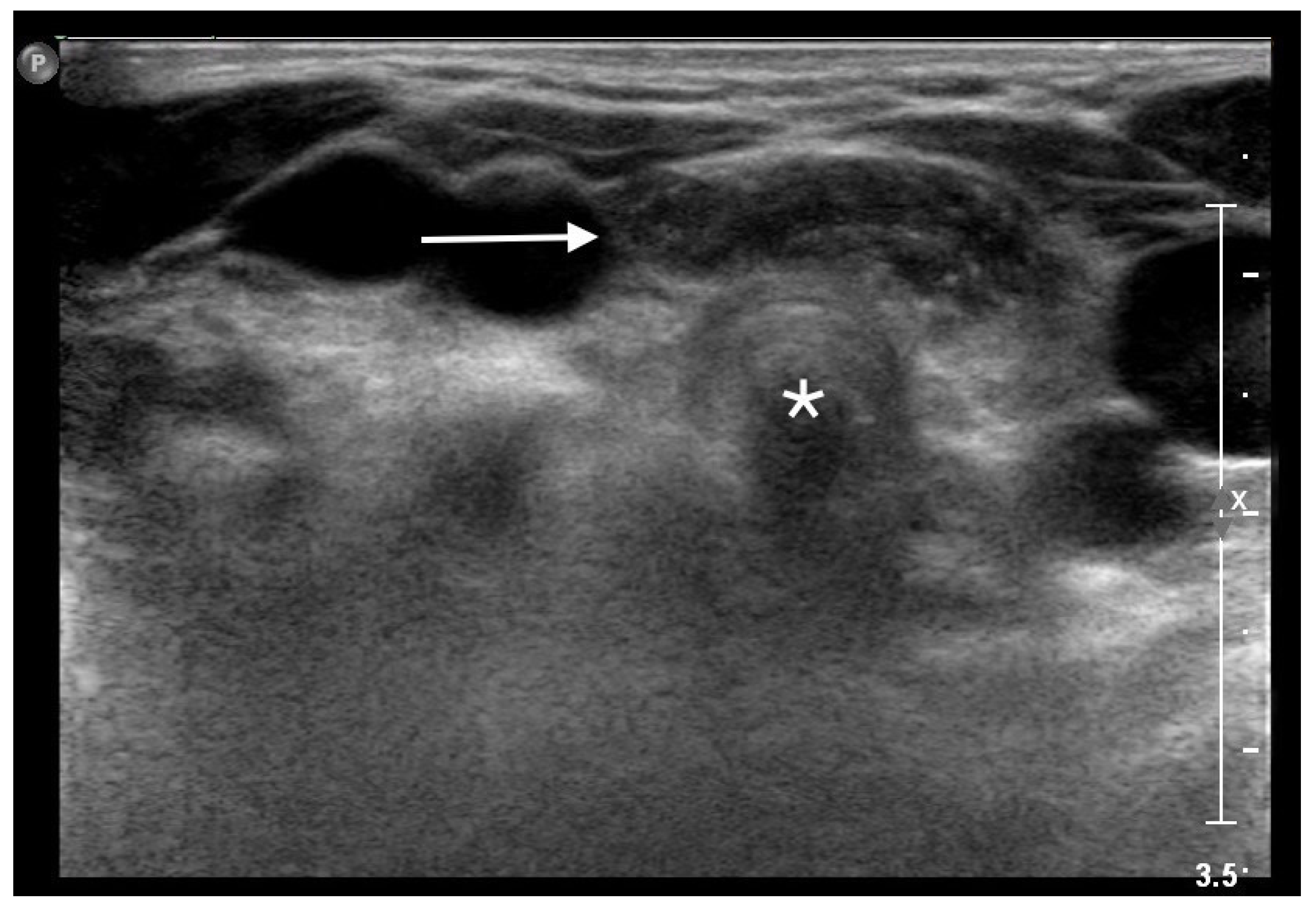 Life 13 00685 g001 Life 13 00685 g001