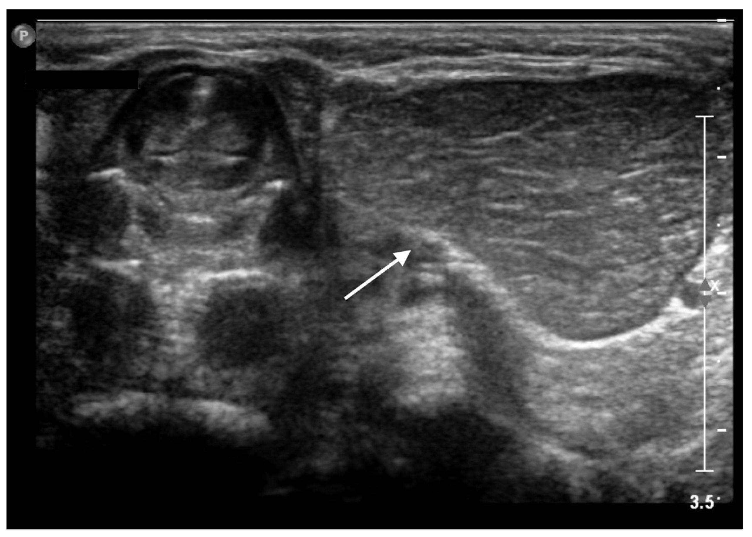 Life 13 00685 g002 Life 13 00685 g002