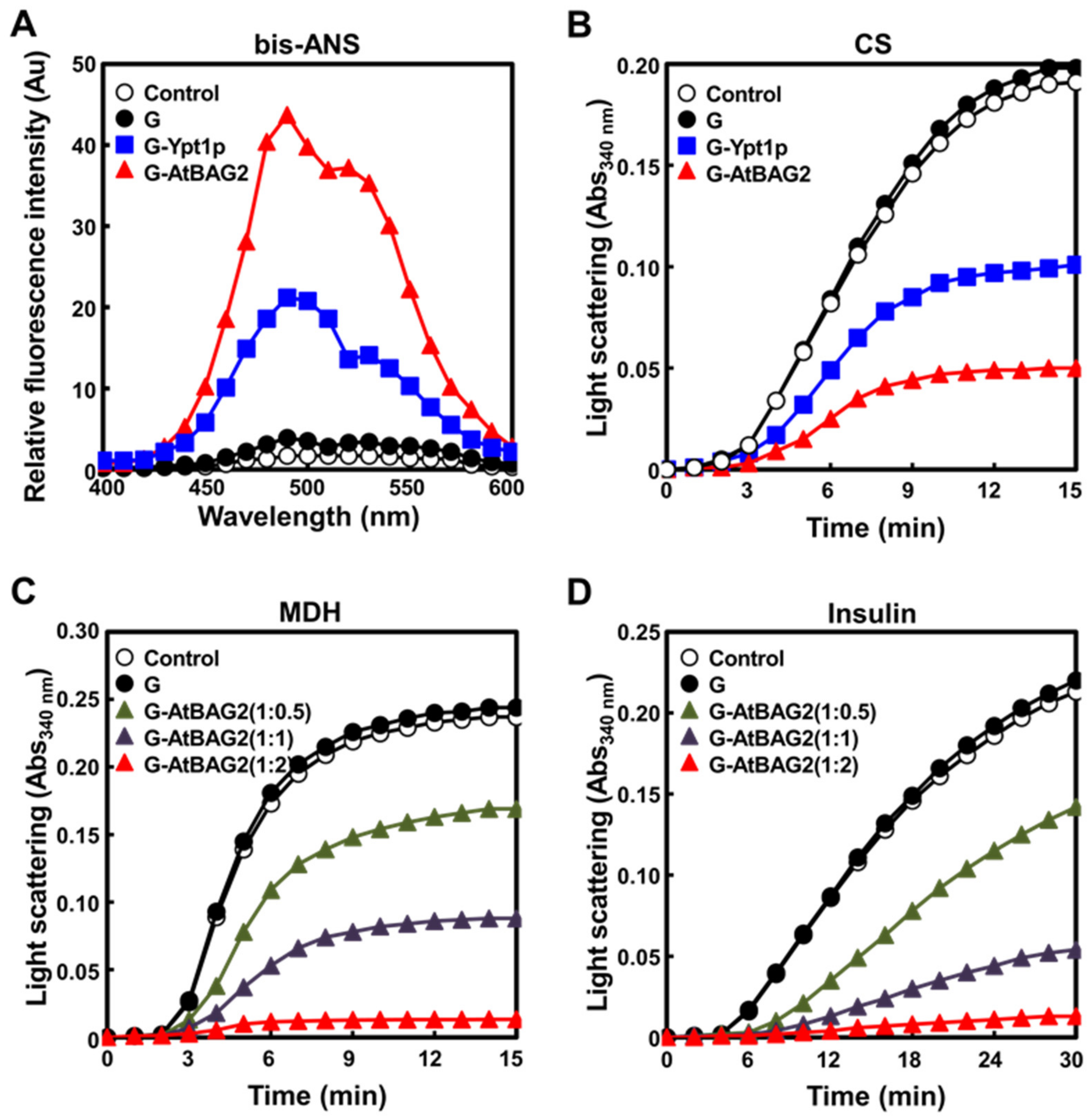 Life 13 00687 g003 Life 13 00687 g003
