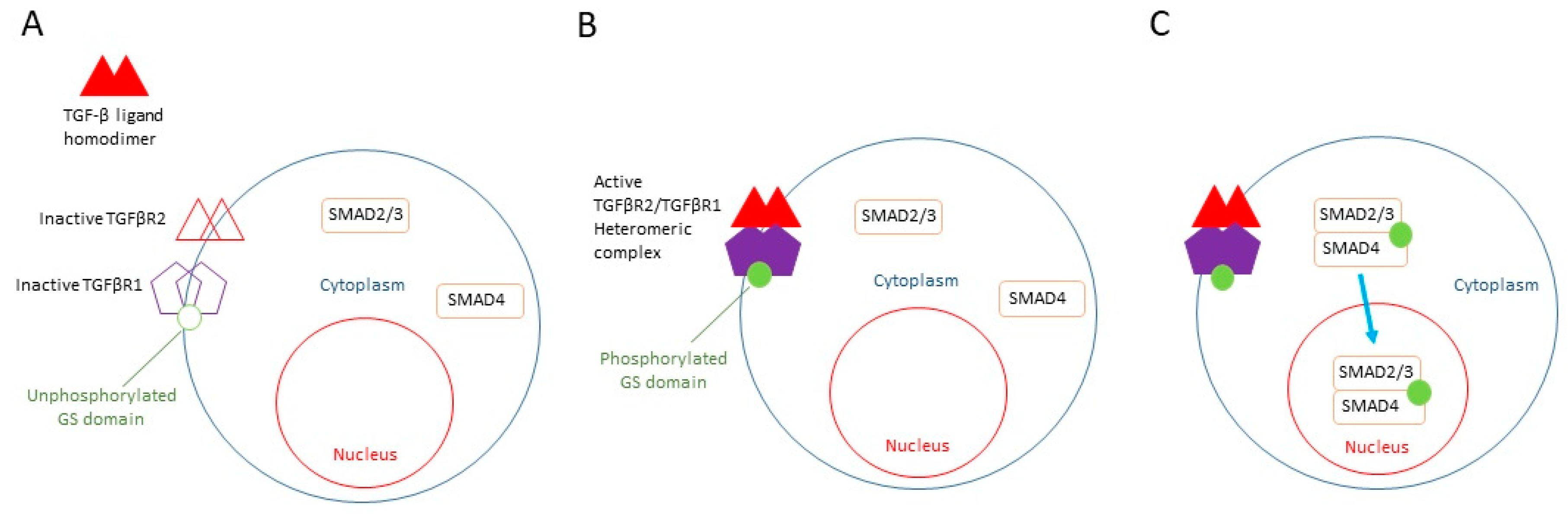 Life 13 00688 g001 Life 13 00688 g001