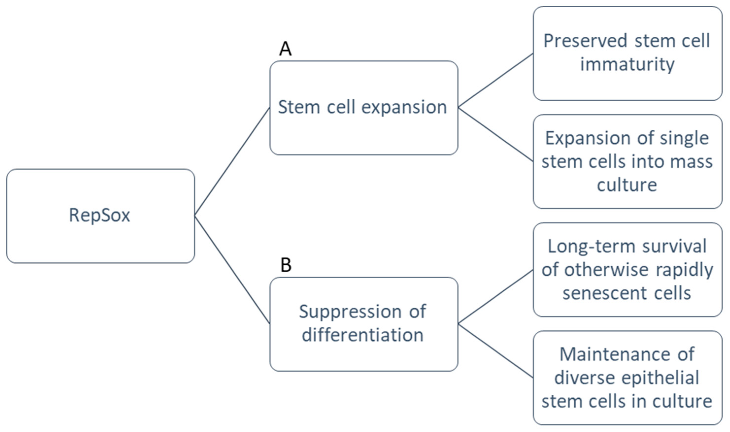 Life 13 00688 g002 Life 13 00688 g002