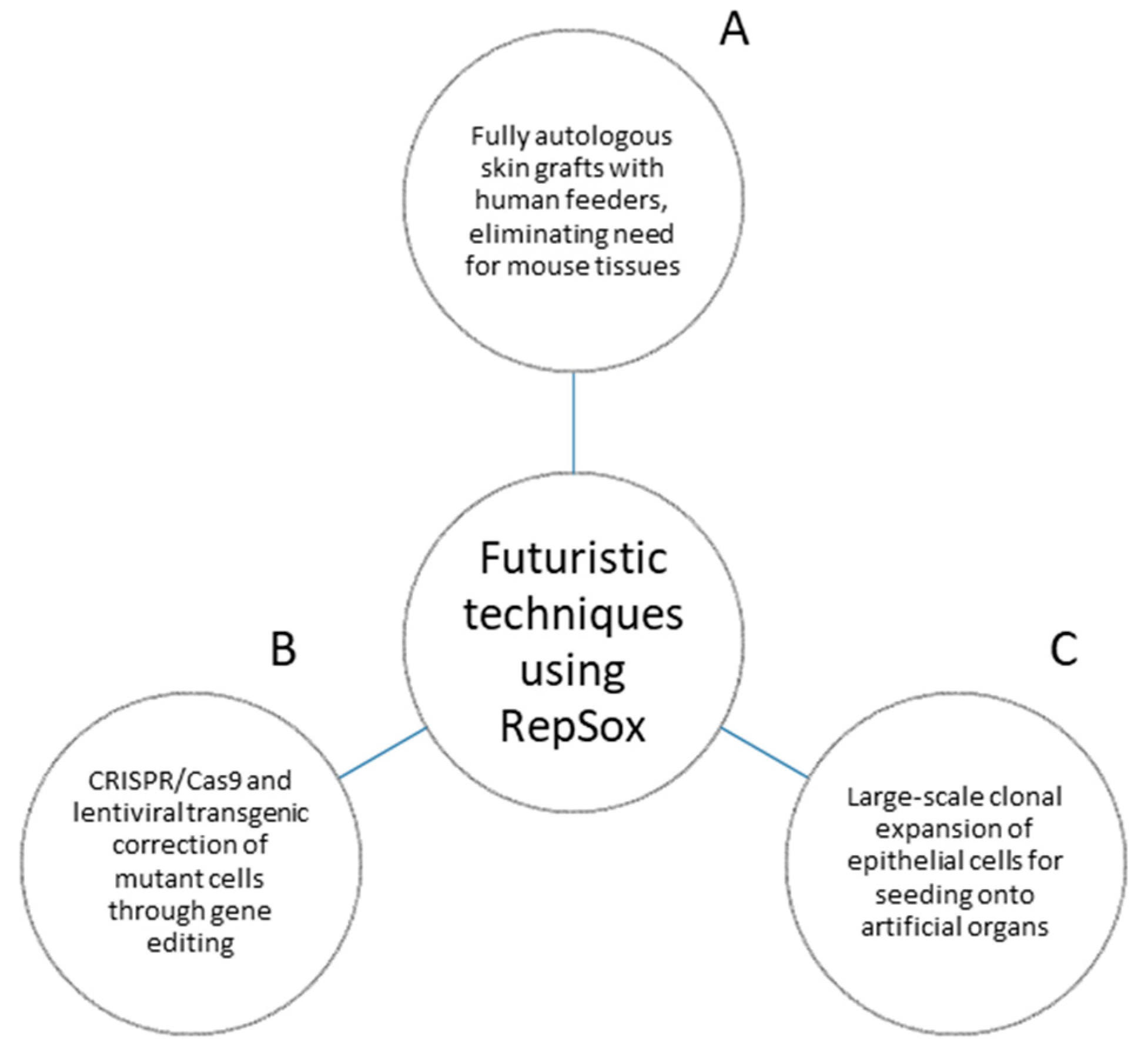 Life 13 00688 g003 Life 13 00688 g003
