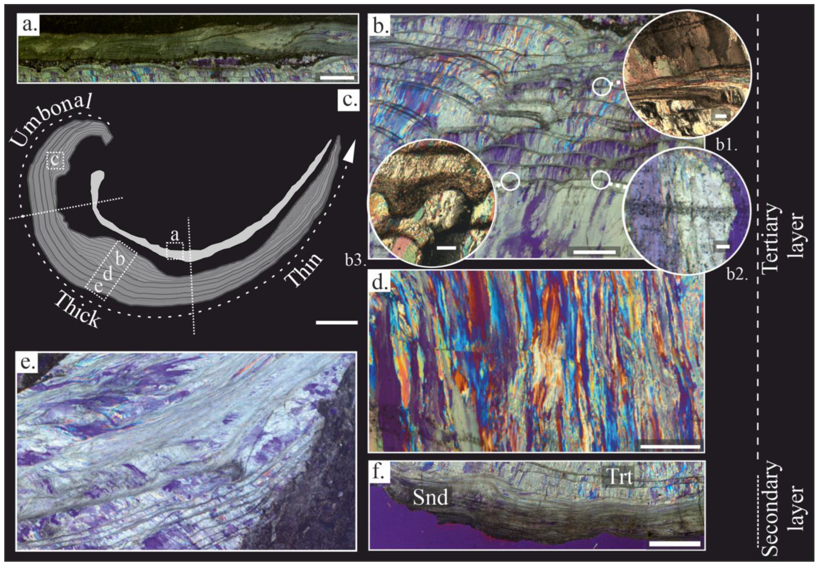 Life 13 00714 g002 Life 13 00714 g002