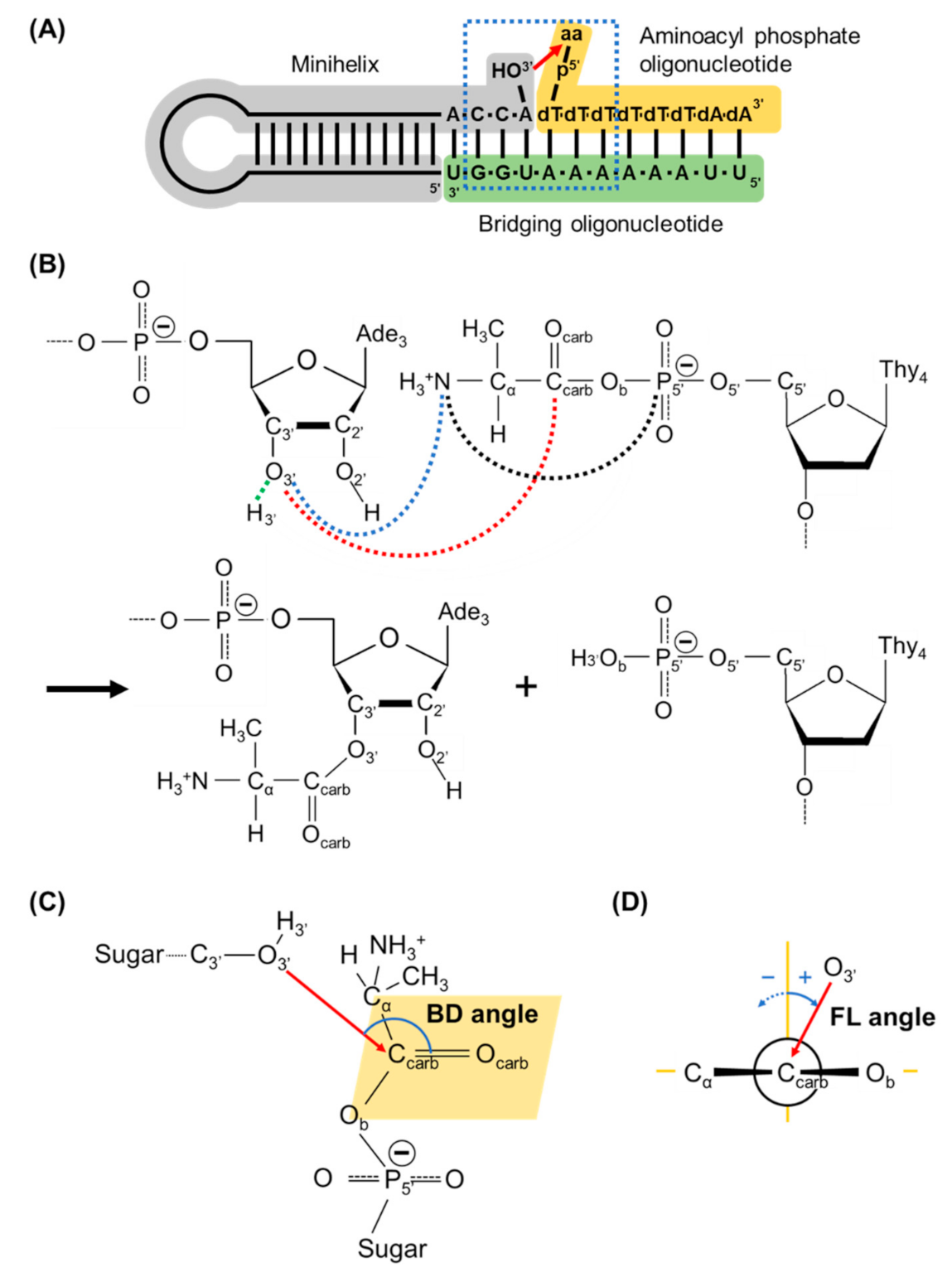 Life 13 00722 g001 Life 13 00722 g001