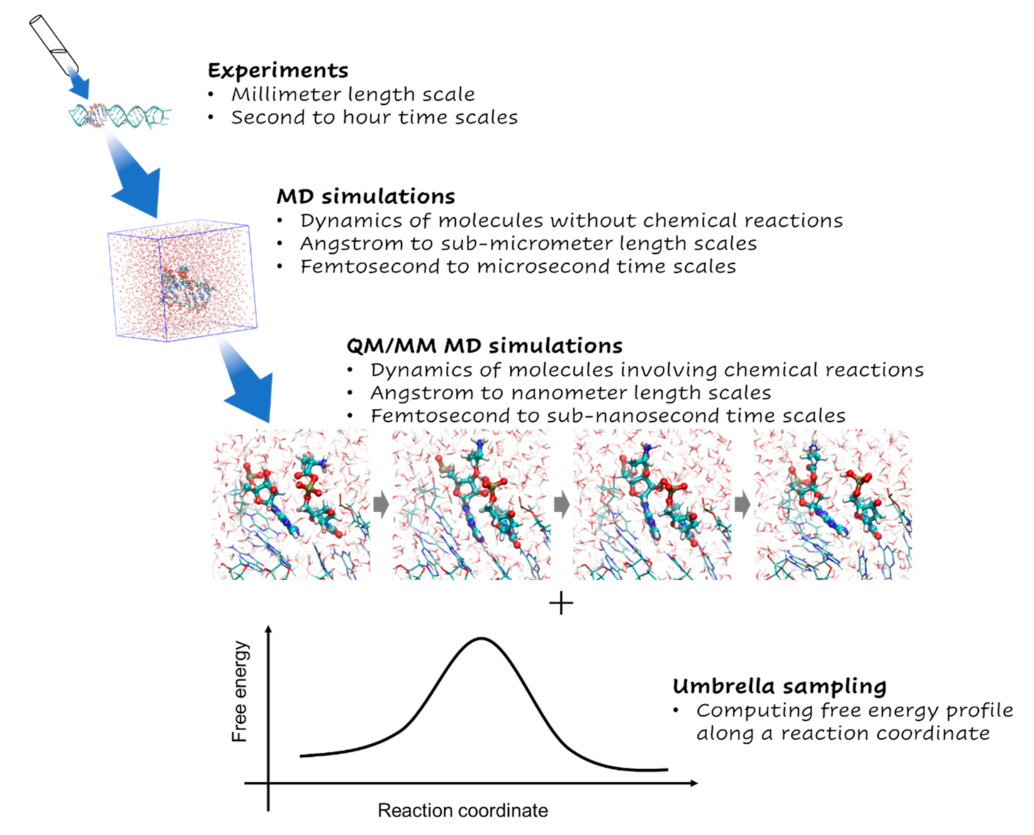 Life 13 00722 g003 Life 13 00722 g003