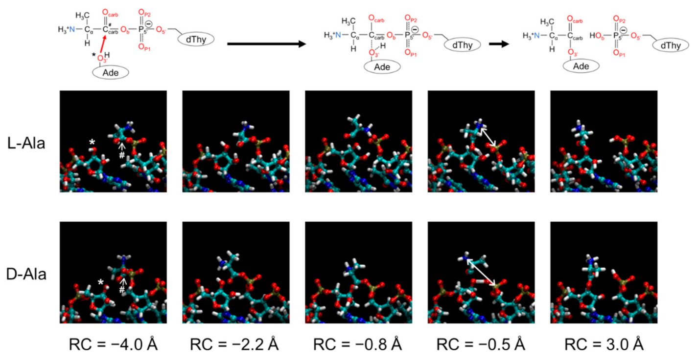Life 13 00722 g005 Life 13 00722 g005