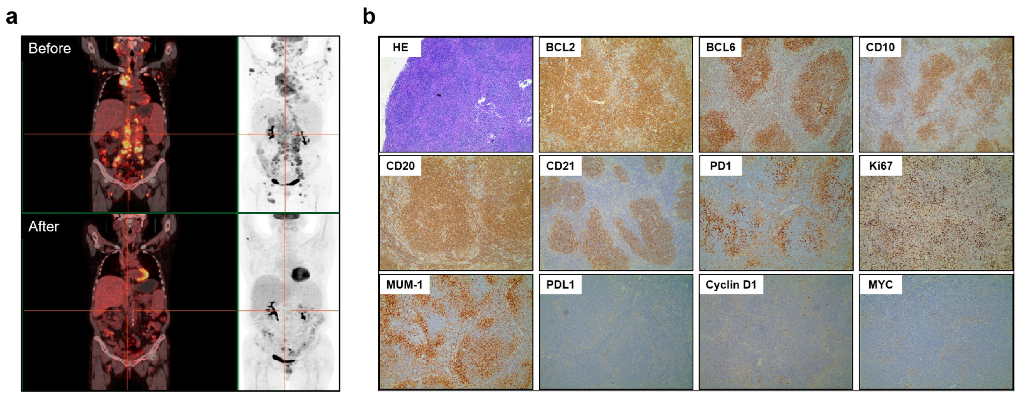 Life 13 00729 g001 Life 13 00729 g001